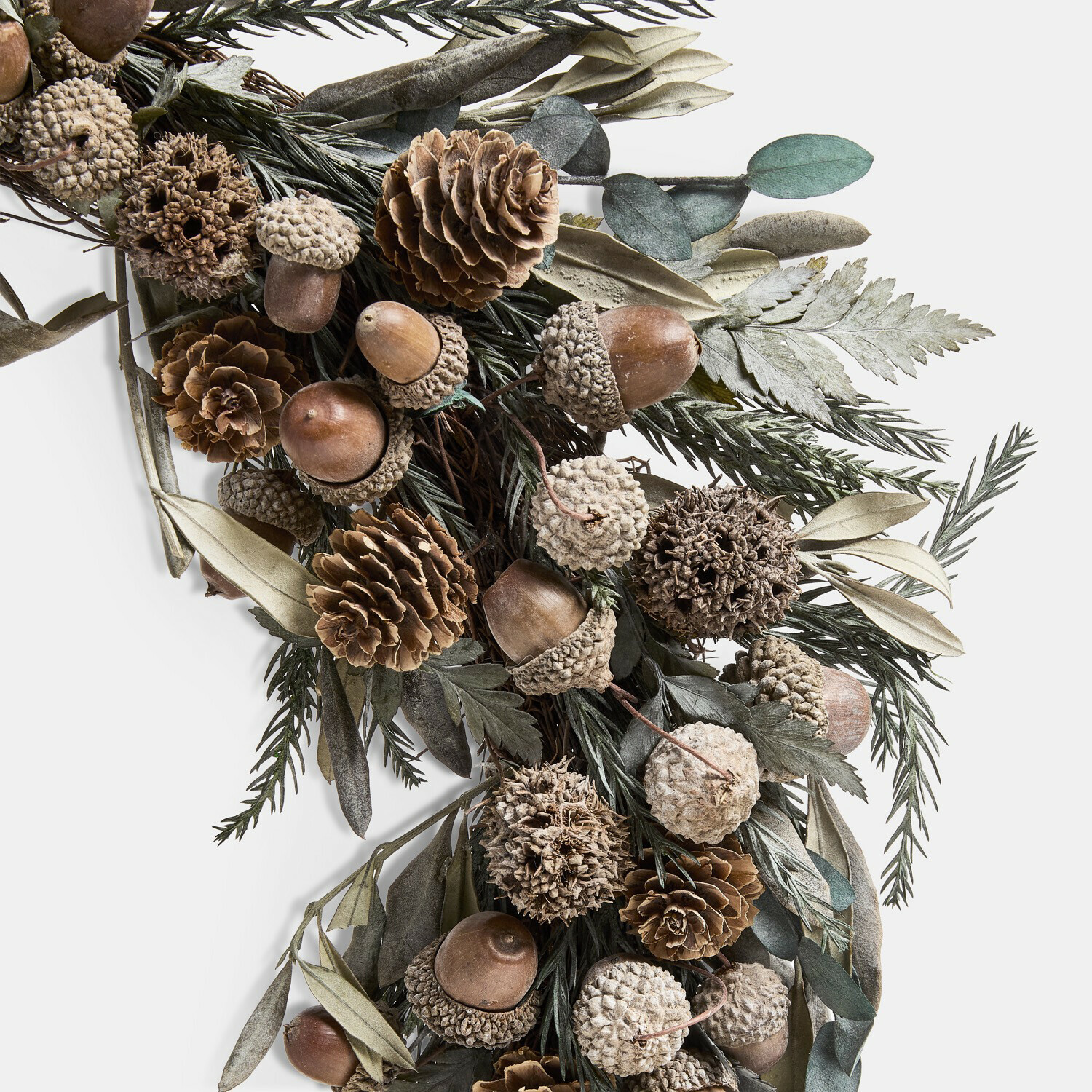 Couronne Junipercombe