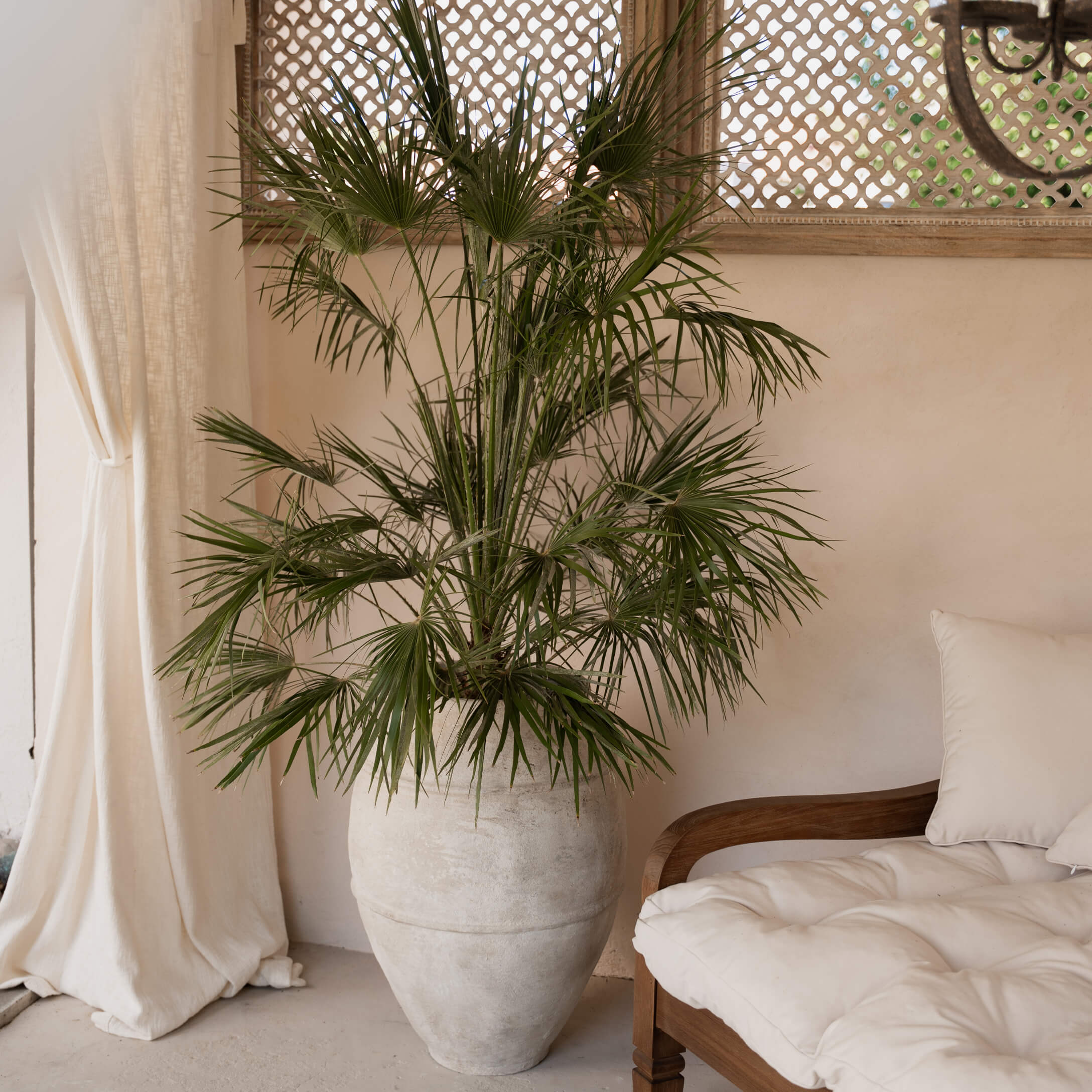 Grand pot en pierre claire avec palmier vert dans un salon chaleureux avec canapé en bois