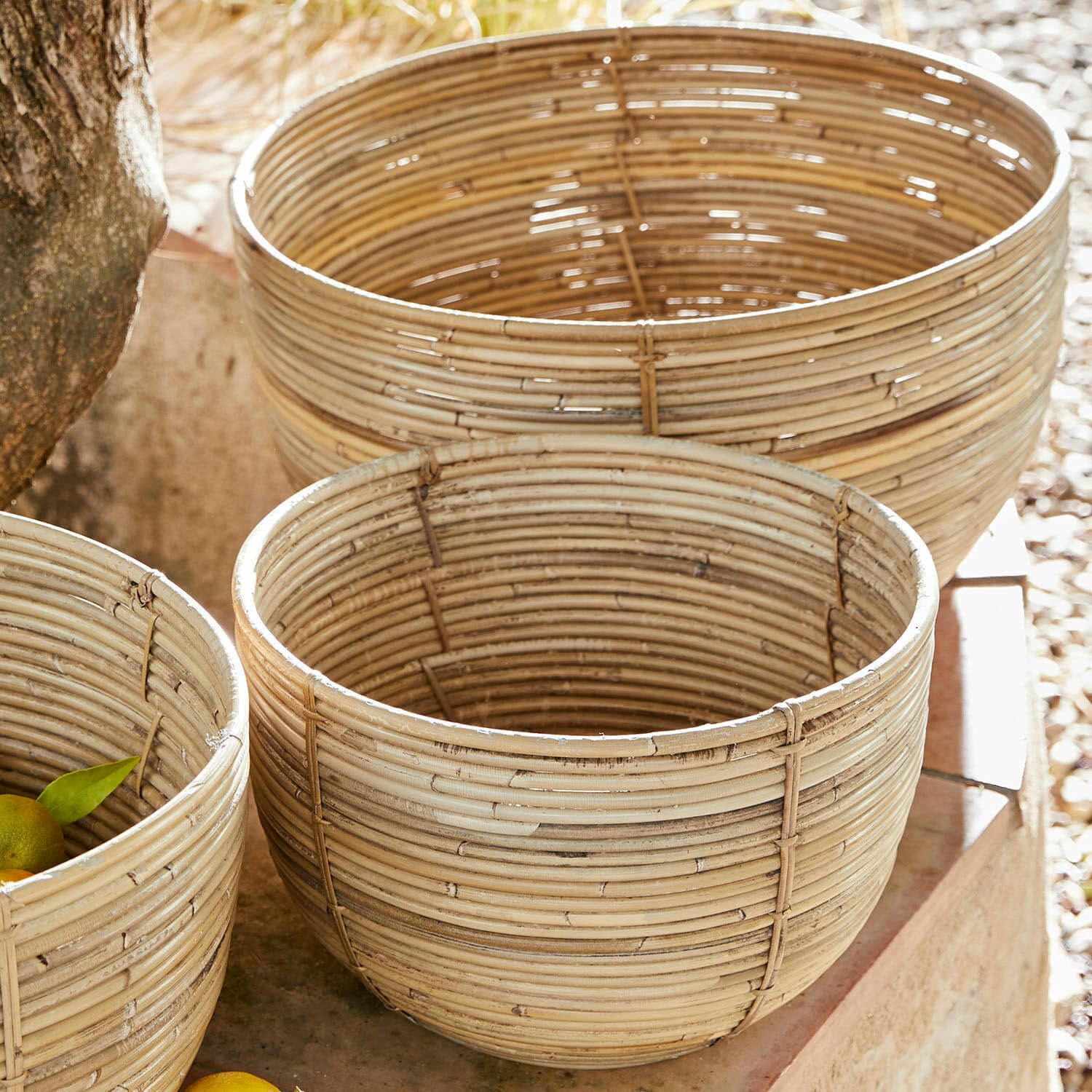 Lot de 3 paniers Fosco