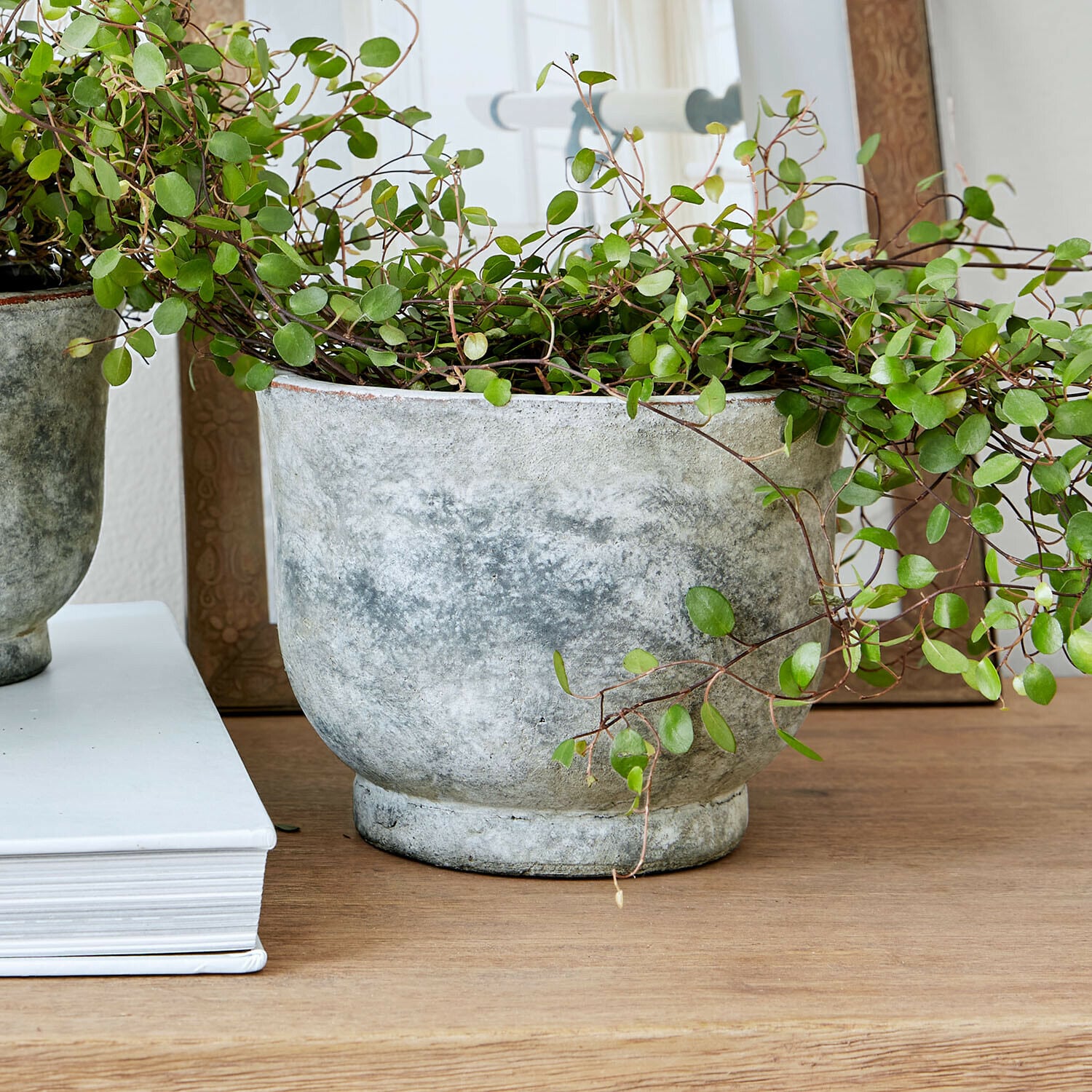 Lot de 3 cache-pots Ravetta
