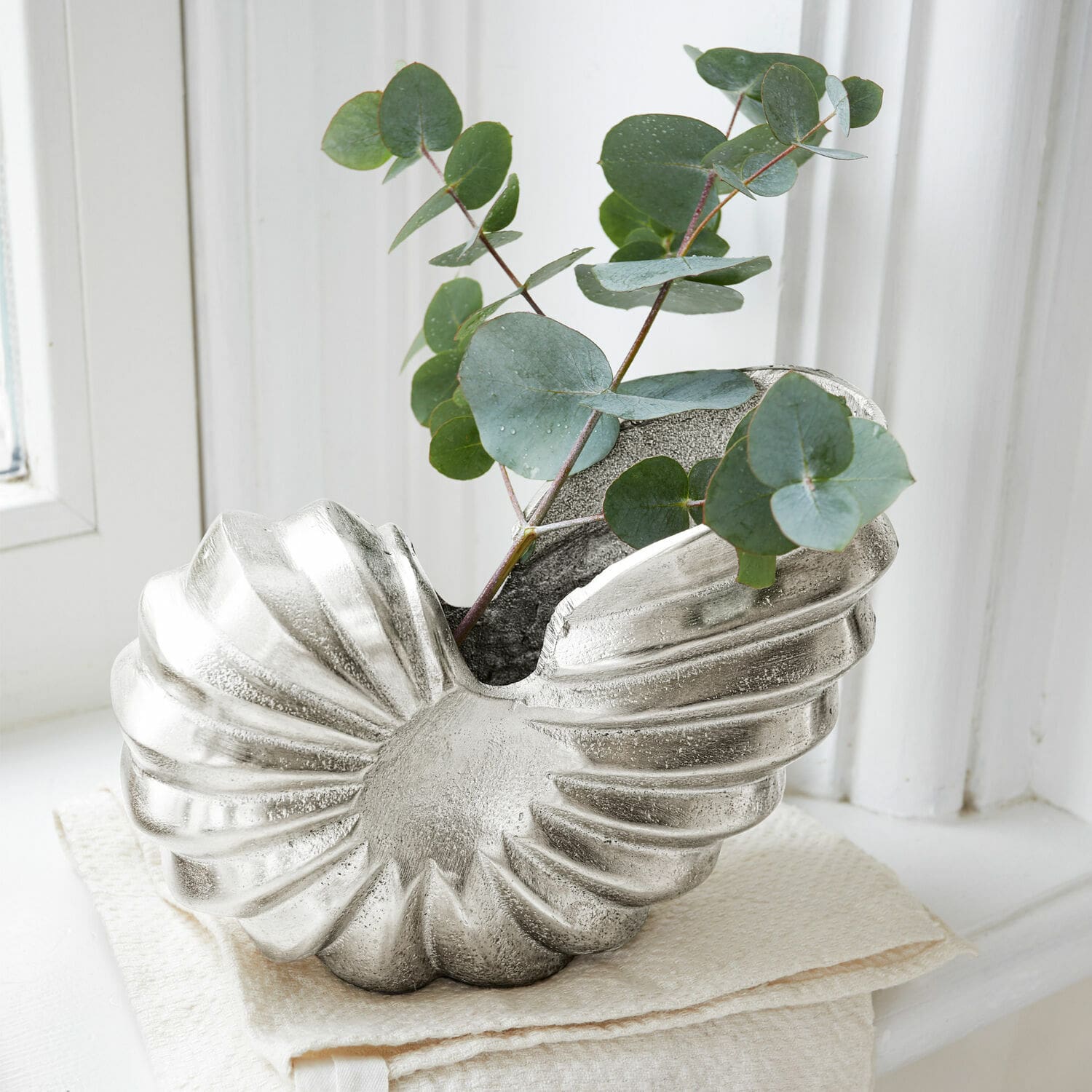 Ammonite décorative Whirl