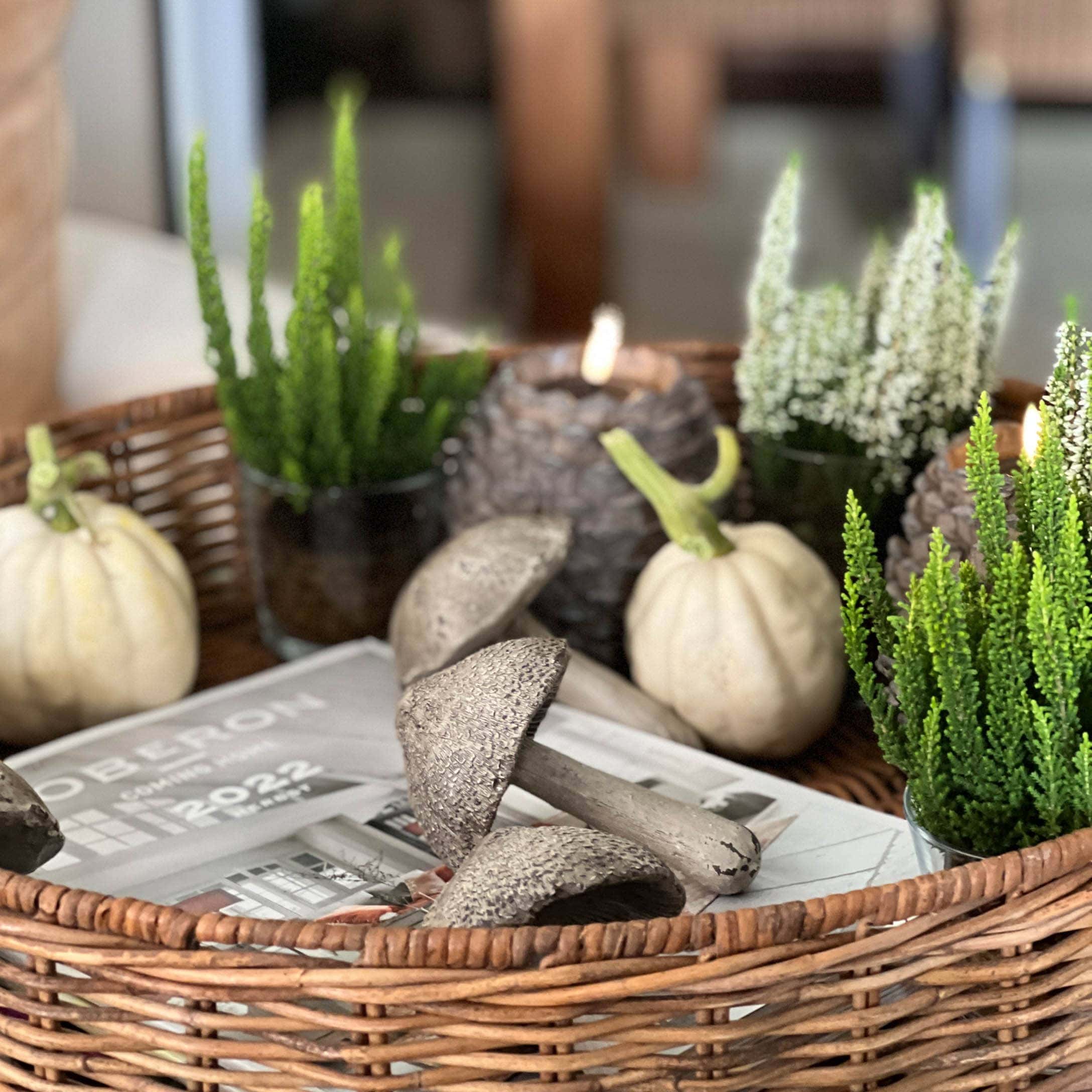 Panier décoratif avec citrouilles blanches, plantes vertes et champignons décoratifs sur table