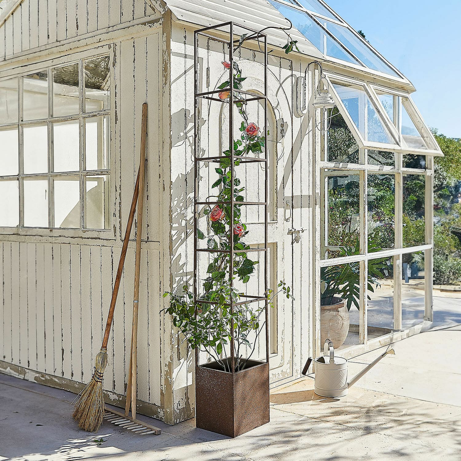 Support pour plantes grimpantes Elixvo