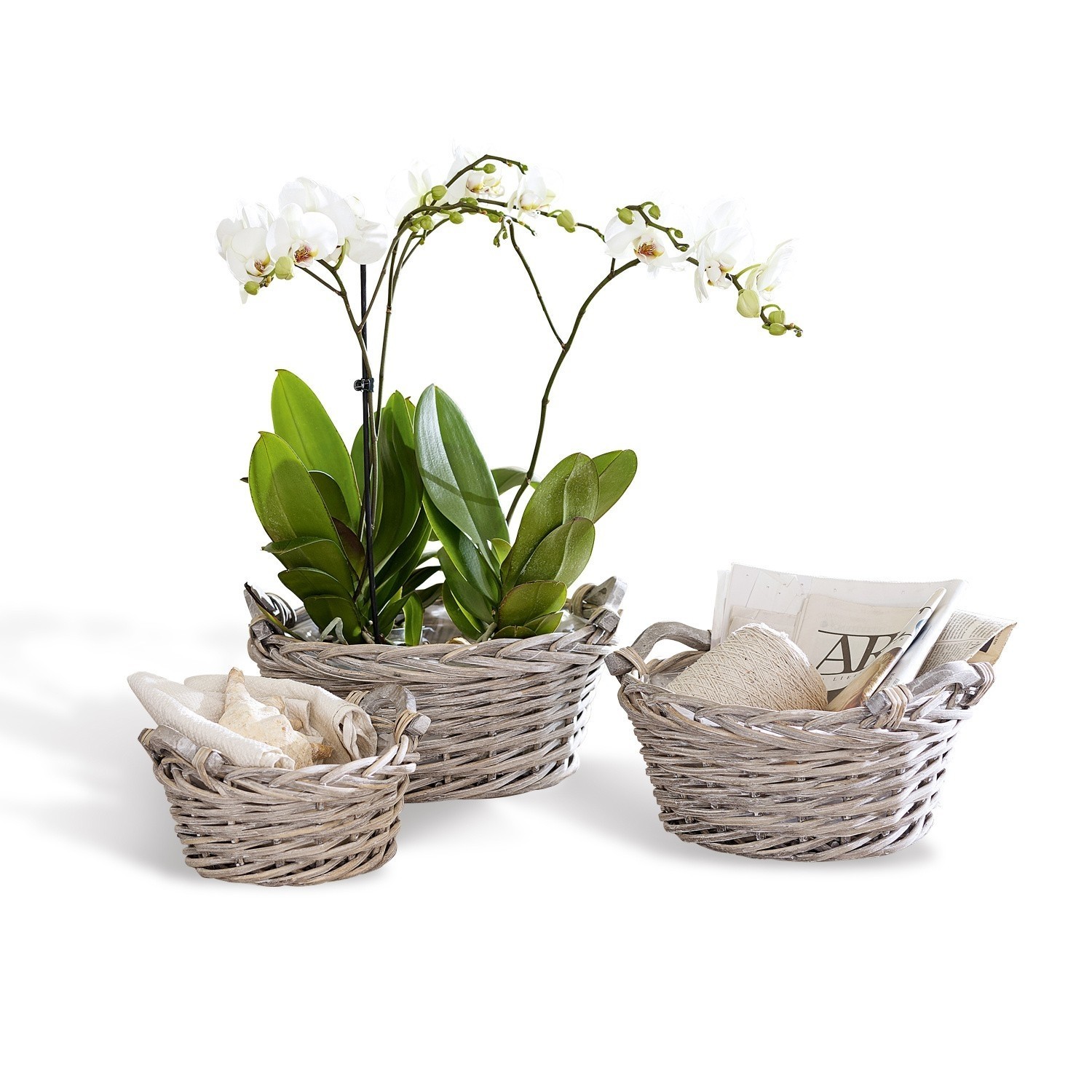 Lot de 3 corbeilles à plantes Waylon
