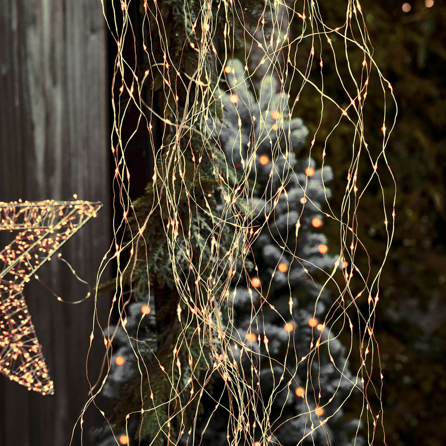 Rideau lumineux Lysfjord Guirlande lumineuse LED fine avec petites lumières chaudes, décoration de Noël avec étoile et sapin en arrière-plan