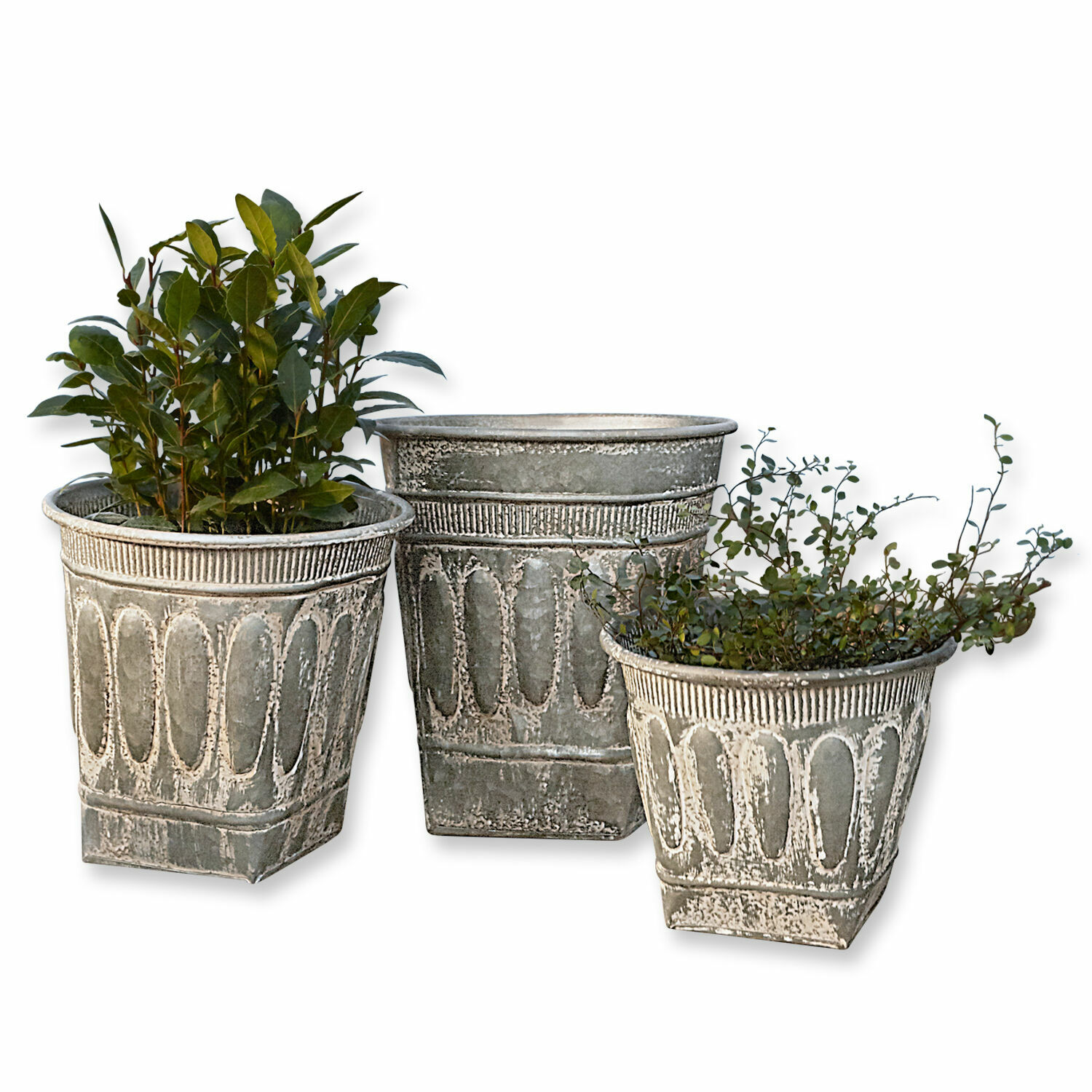 Lot de 3 cache-pots Bakersfield Ensemble de trois pots décoratifs en métal gris avec plantes pour décoration de jardin
