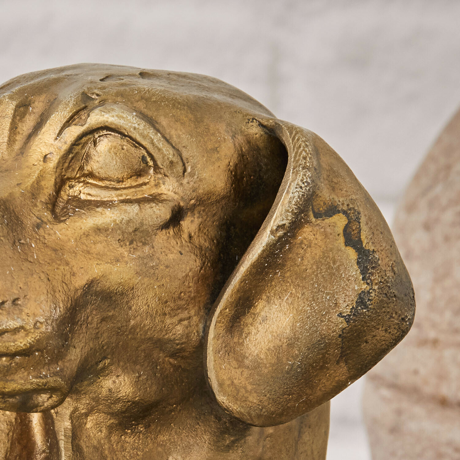 Tête de chien décorative Nareen