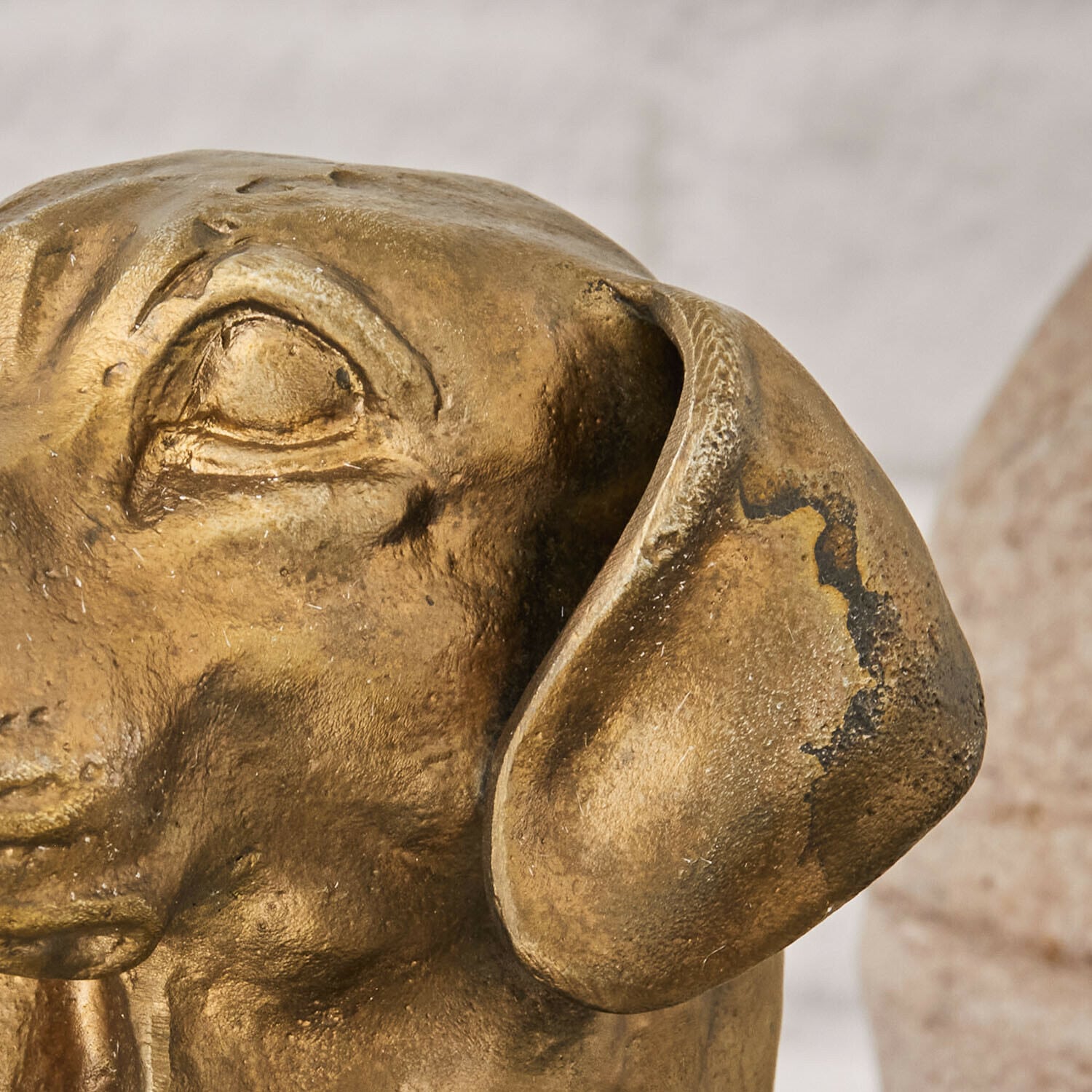 Tête de chien décorative Nareen