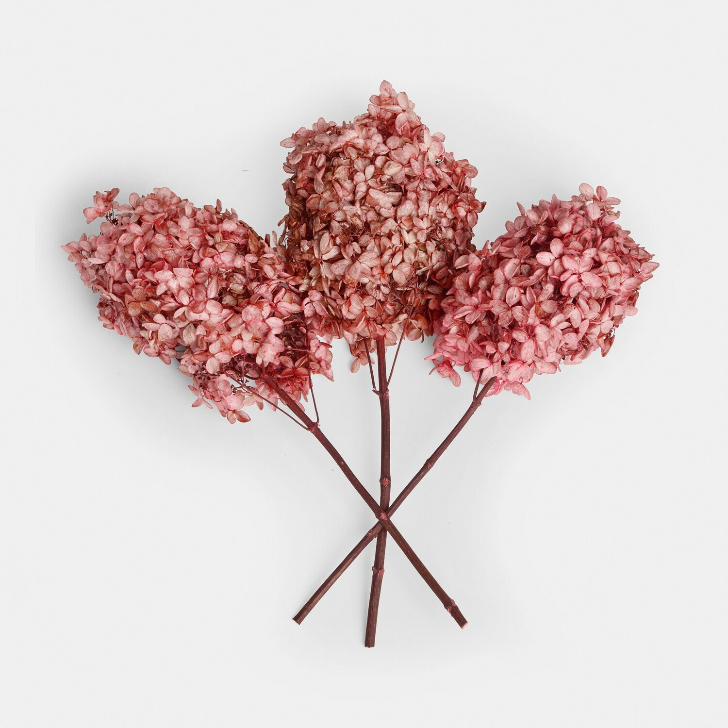 Lot de 3 fleurs séchées Amélorie Trois fleurs d'hortensia séchées roses pour décoration intérieure et compositions florales