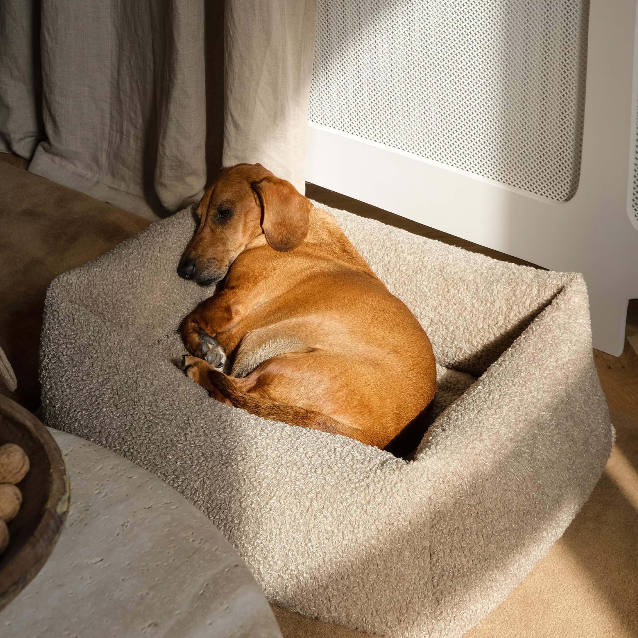 Chien marron dormant sur un panier beige en peluche douce dans un intérieur chaleureux