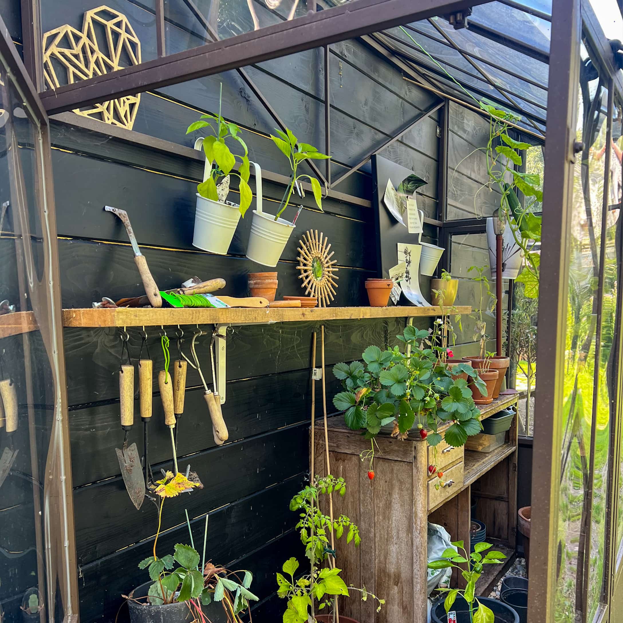 Table de jardin en bois avec outils et plantes dans une serre à mur noir