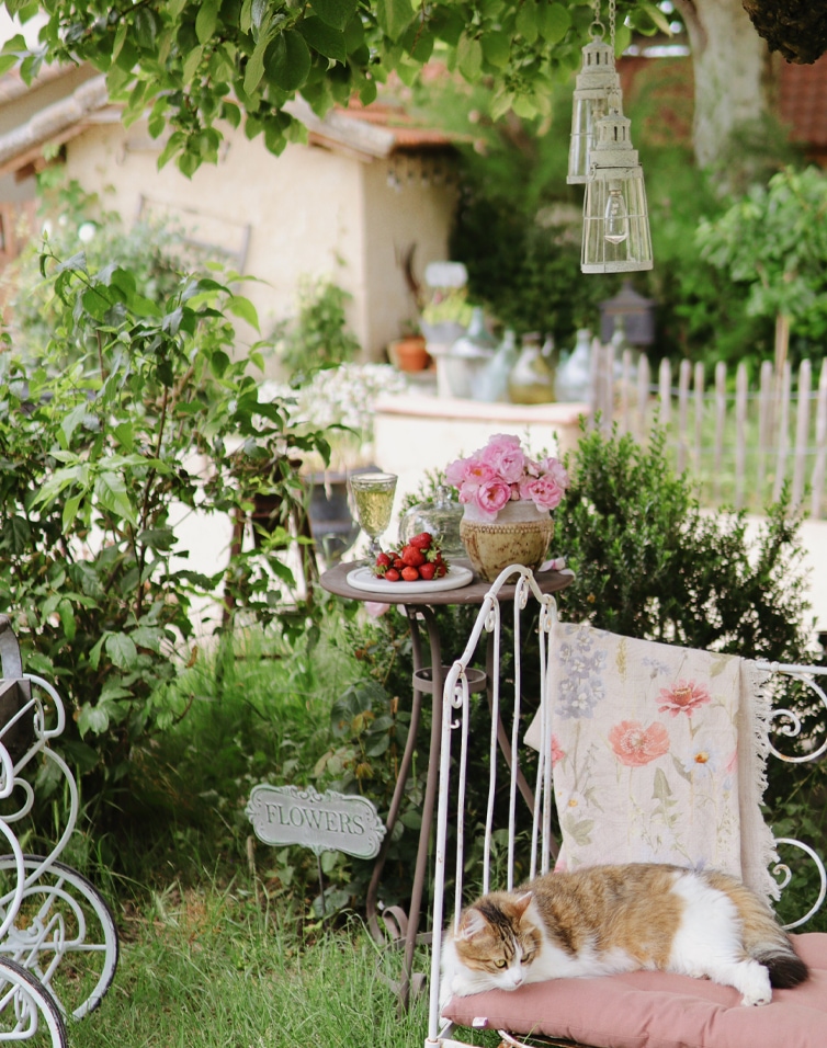 Jardin cosy avec table en métal, fleurs roses et chat sur coussin rose, décorations florales