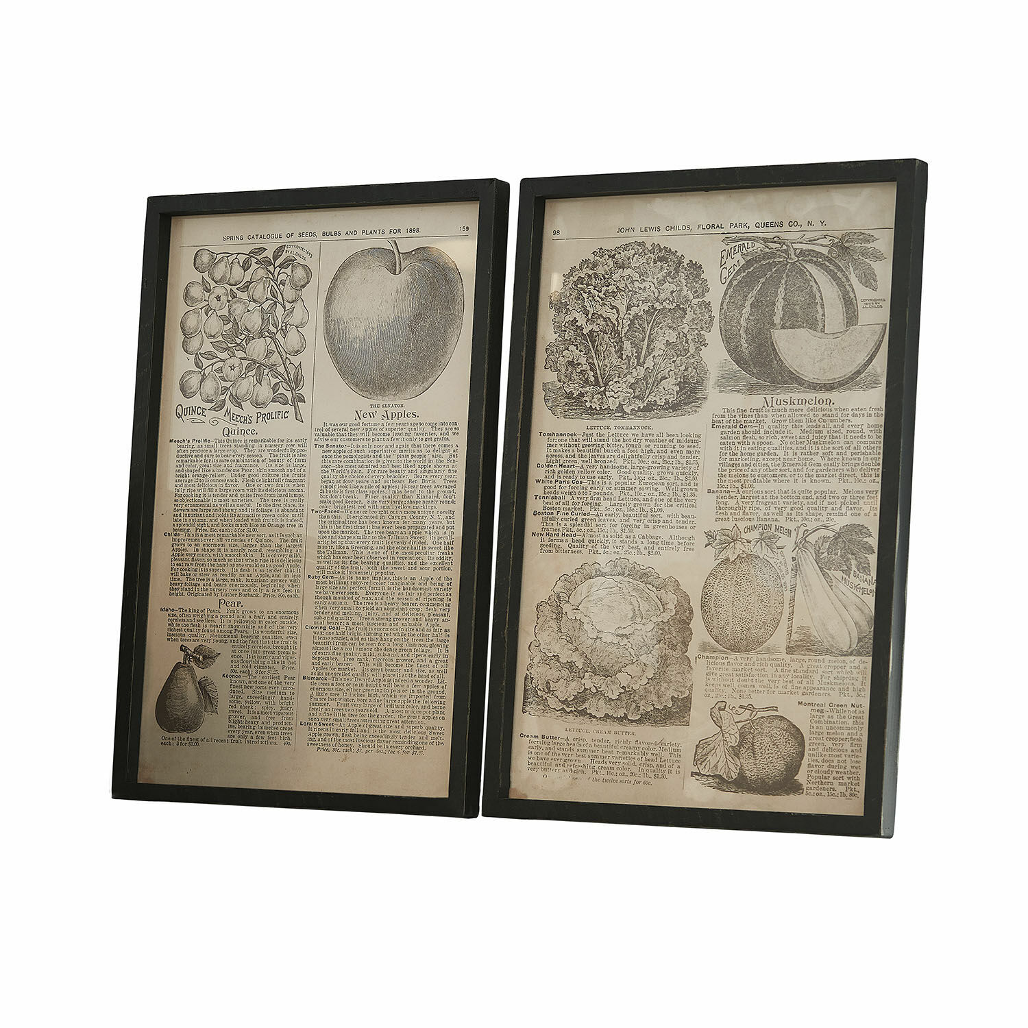Lot de 2 tableaux Bravent