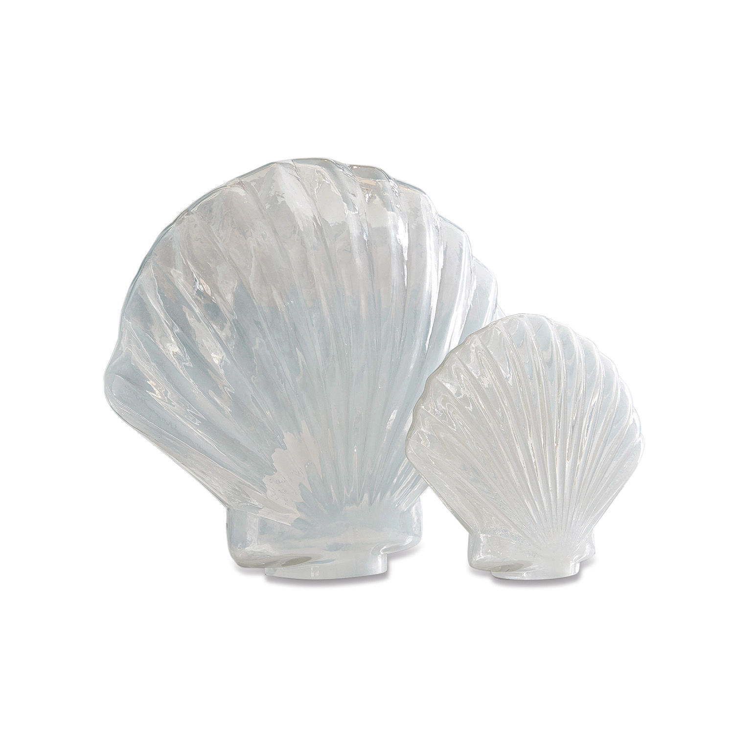 Lot de 2 coquillages décoratifs Teramo