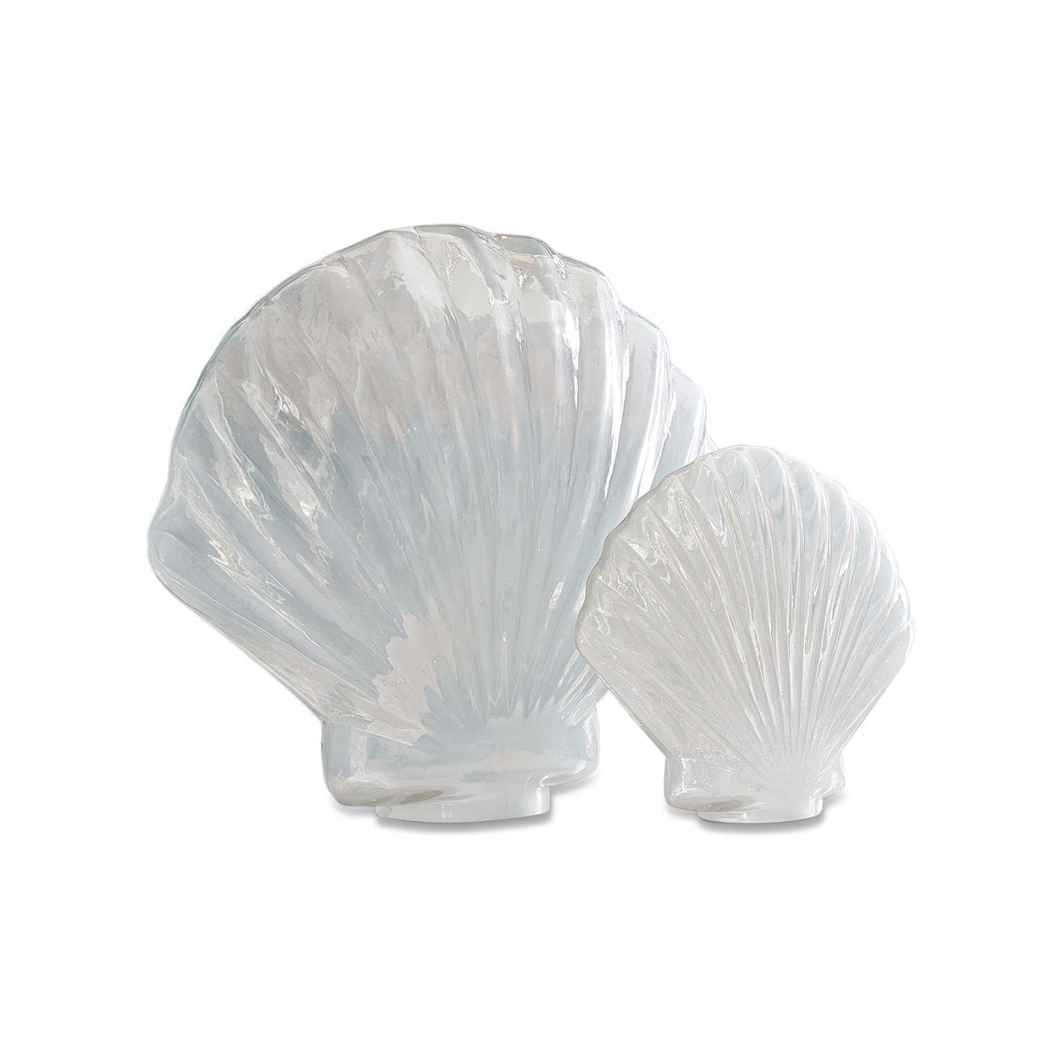 Lot de 2 coquillages décoratifs Teramo