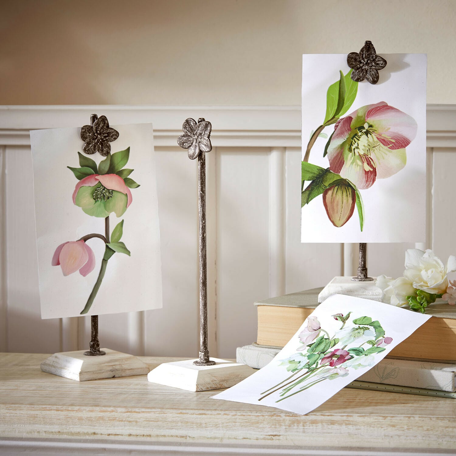 Lot de 3 images avec supports Serafinas