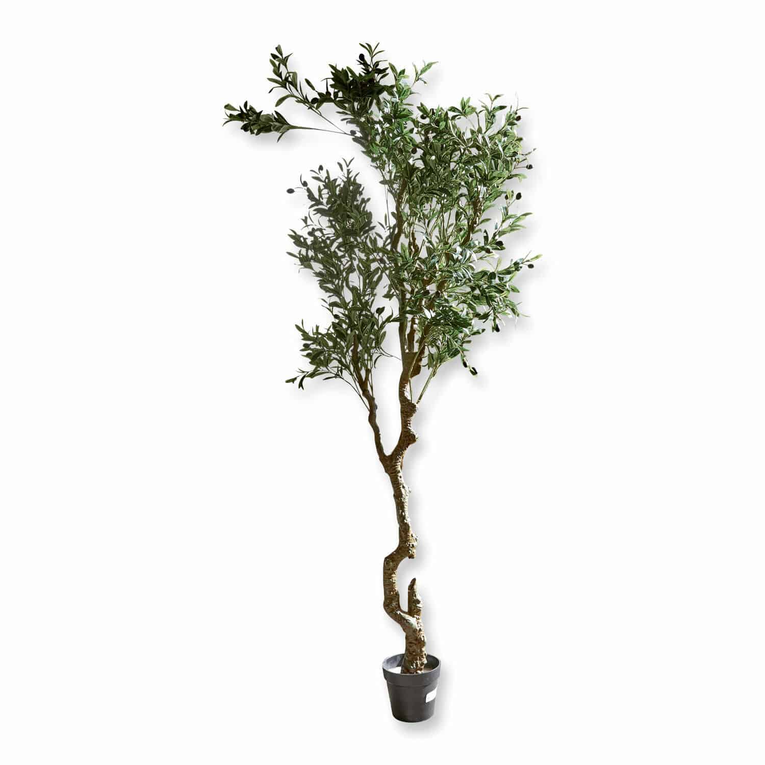 Plante décorative en pot Dambly Arbre d'olivier artificiel en pot noir avec feuilles vertes pour décoration intérieure