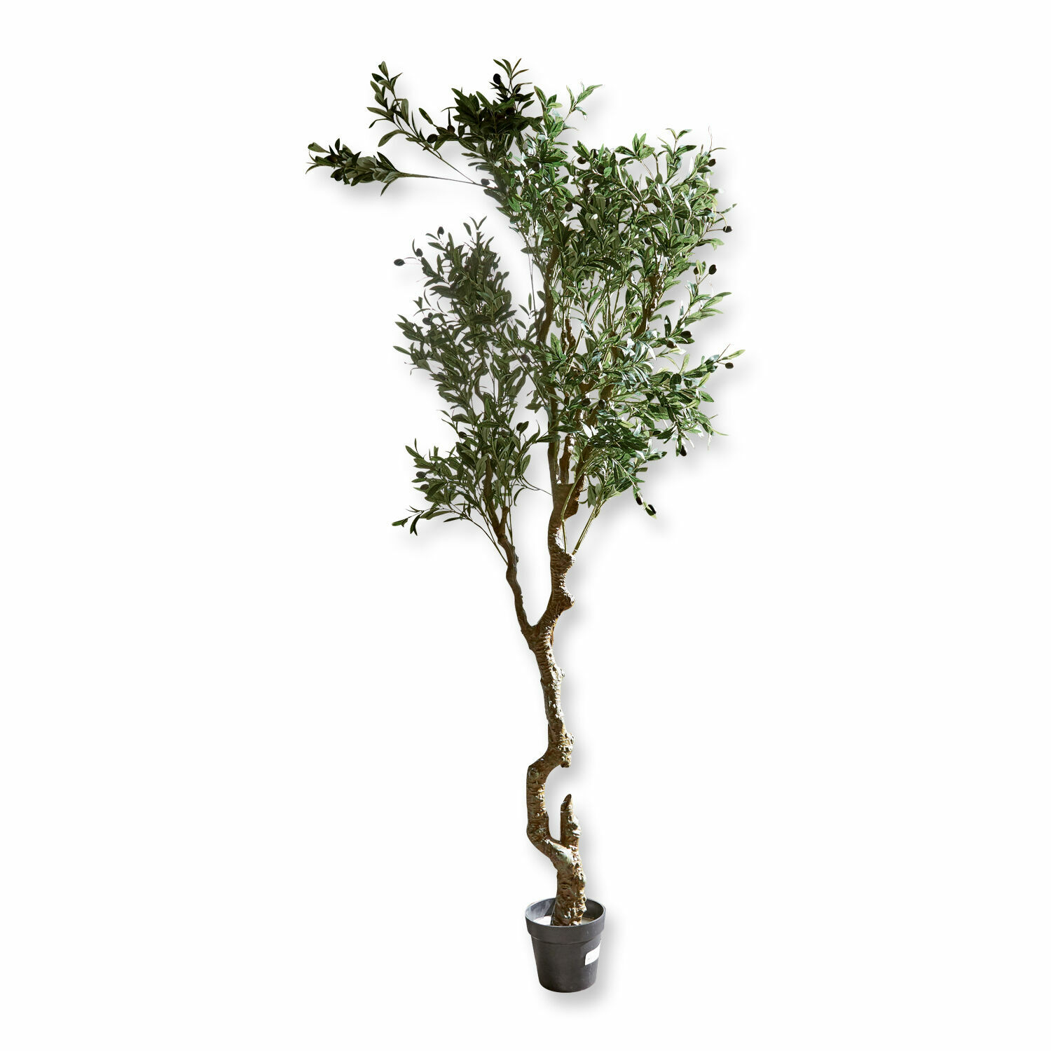 Plante décorative en pot Dambly Arbre d'olivier artificiel en pot noir avec feuilles vertes pour décoration intérieure