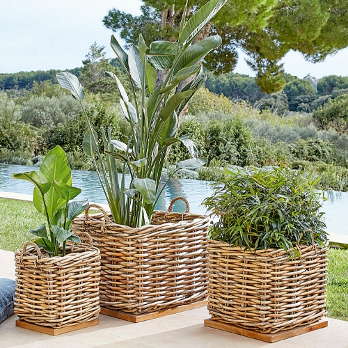 Trois pots carrés en osier avec socles en bois et plantes vertes sur terrasse extérieure