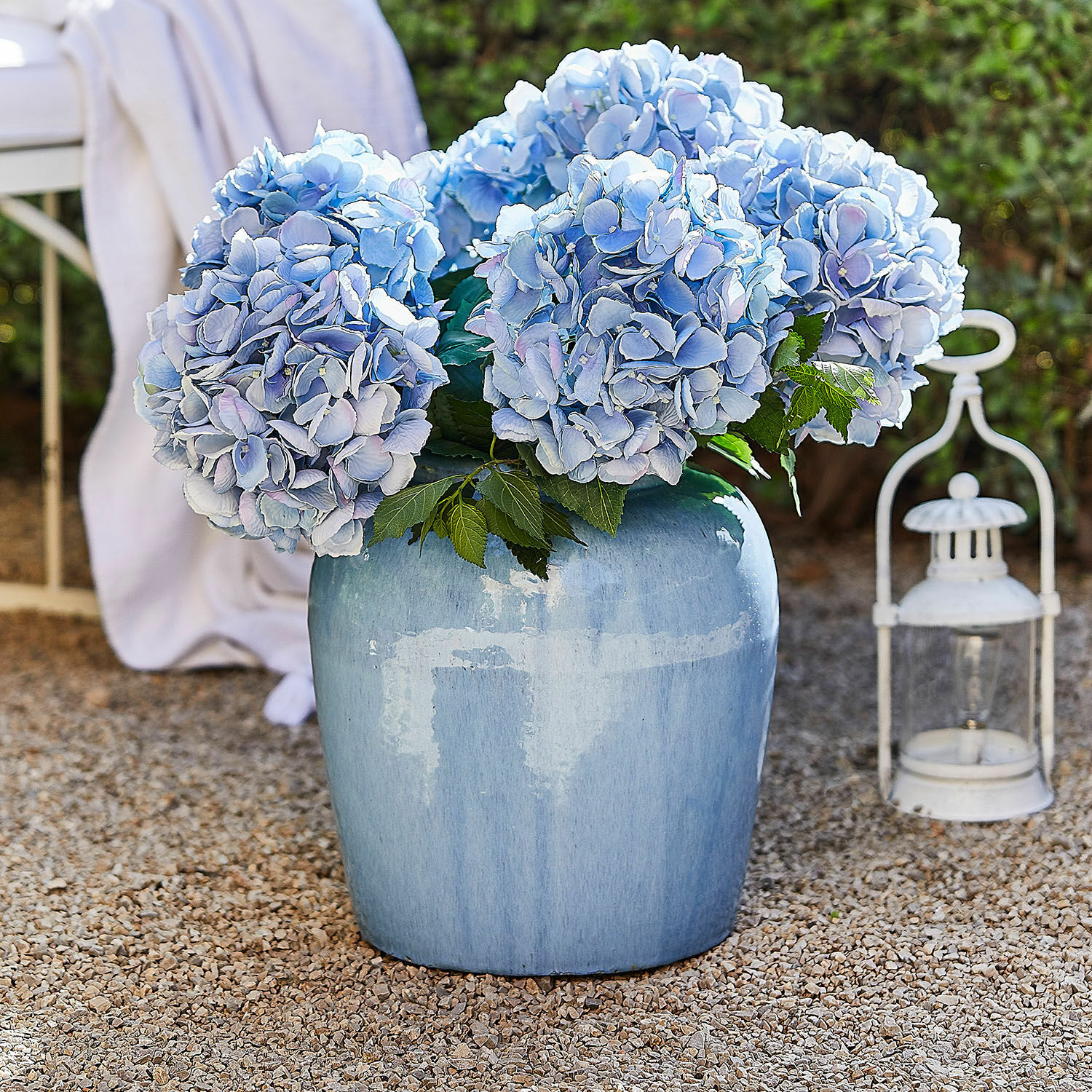 Vase Uxemir Grand vase en céramique bleue avec bouquet d'hortensias bleu clair posé sur gravier extérieur