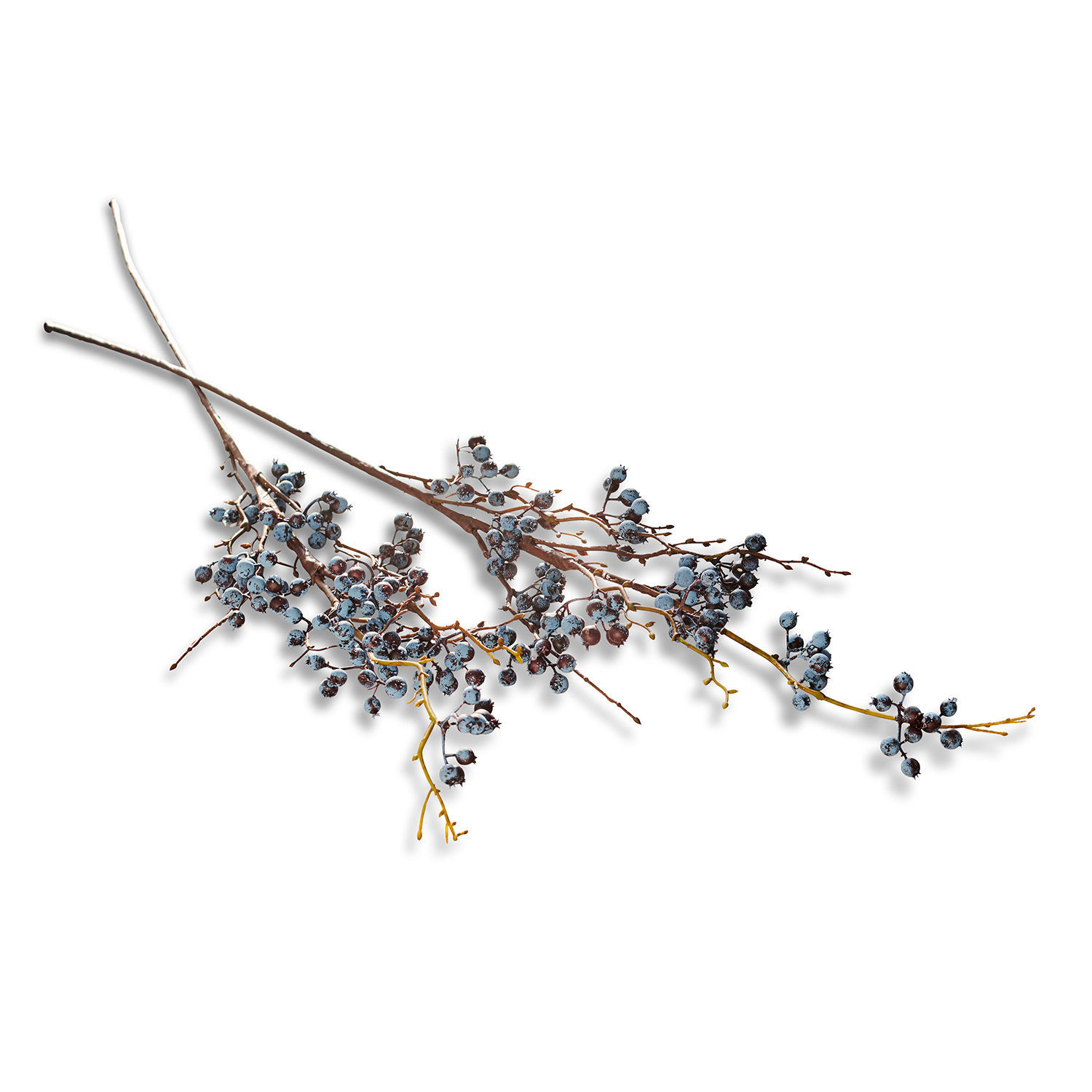 Lot de 2 fleurs décoratives Billars