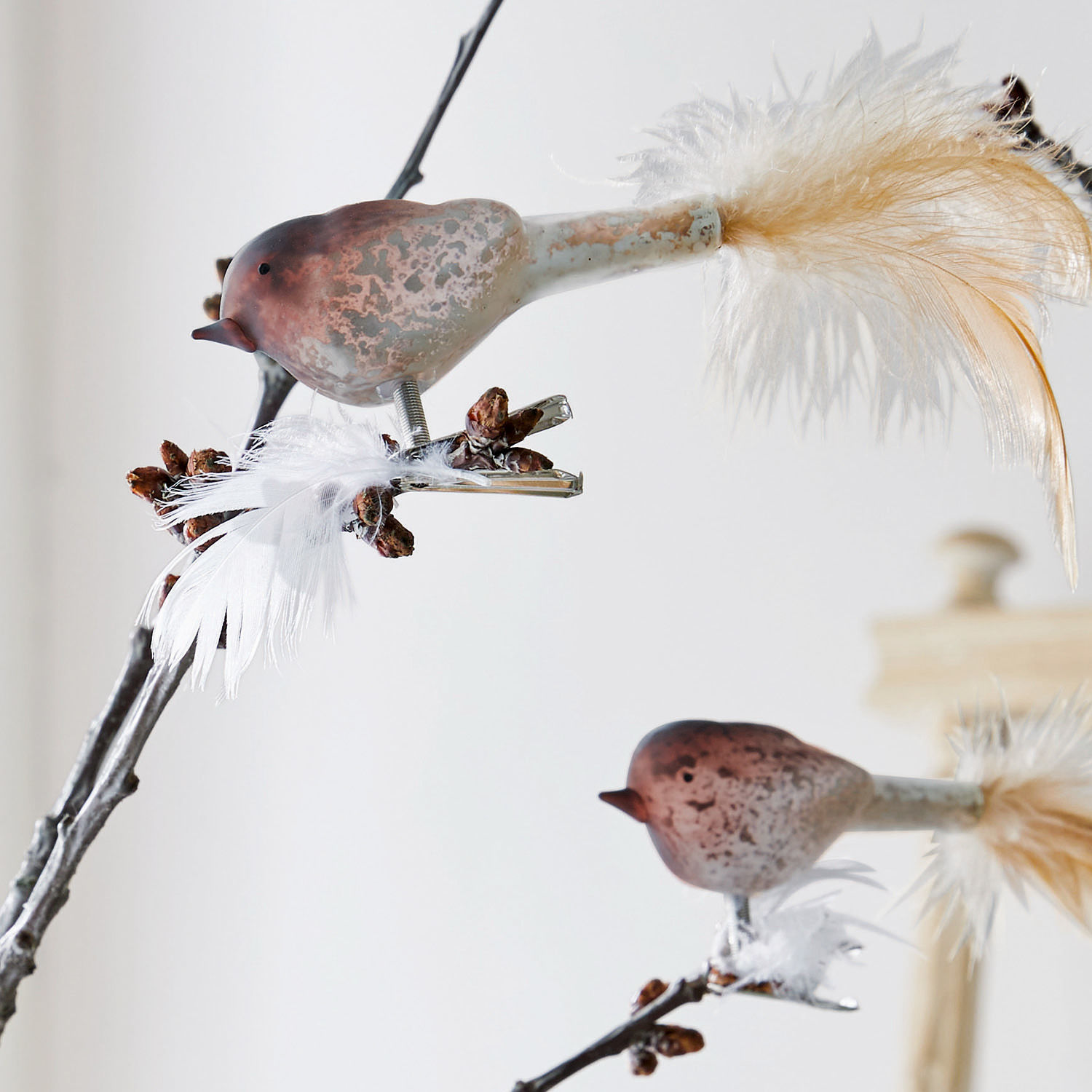 Lot de 6 oiseaux Ceallach