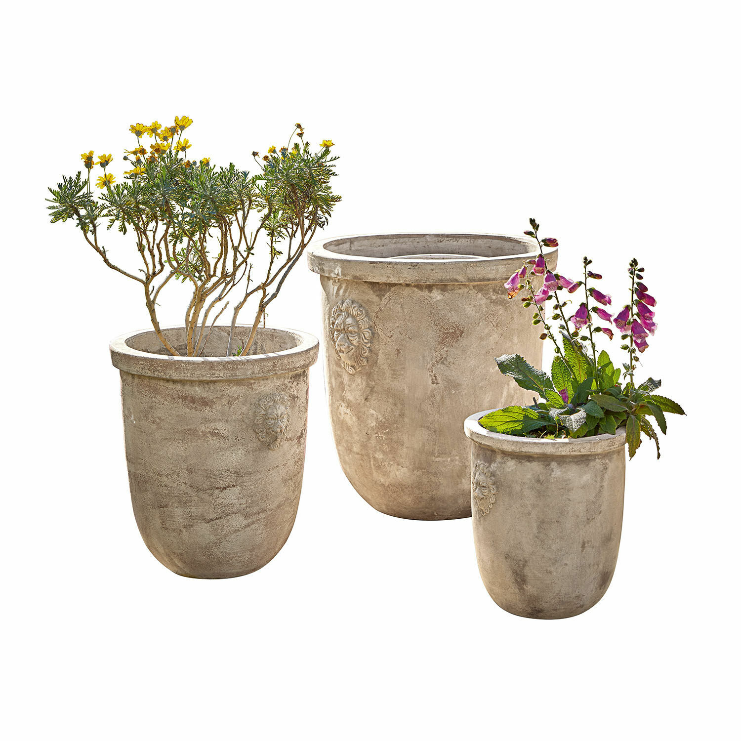 Lot de 3 cache-pots Autigny Ensemble de trois pots en béton gris avec têtes de lion décoratives, parfaits pour le jardin
