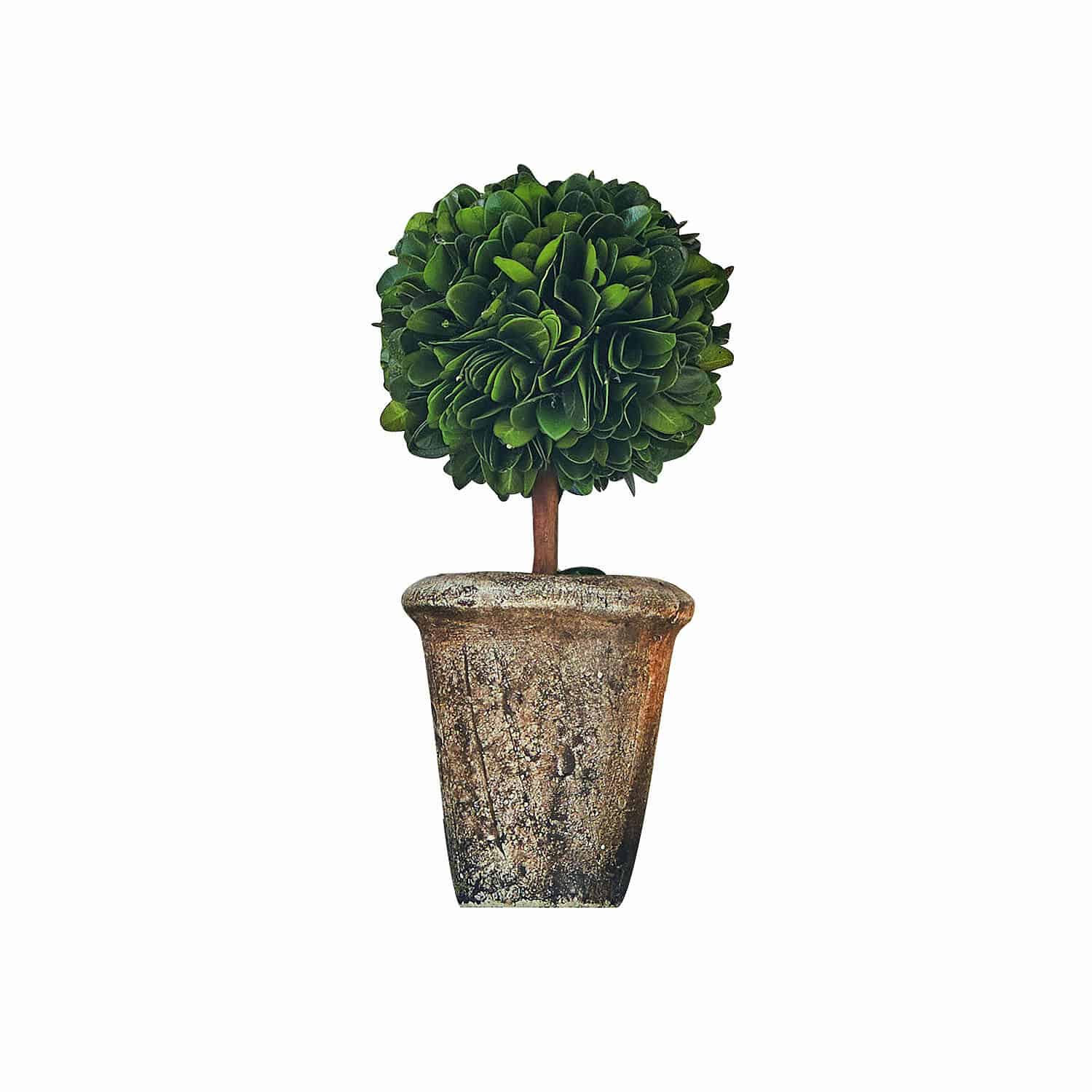 Arbre décoratif à feuillage vert dans un pot rustique avec effet vieilli pour intérieur