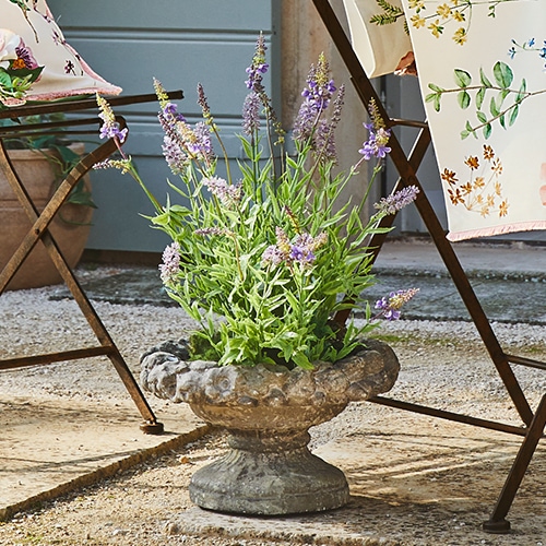 Jardinière en pierre décorative avec lavande, ambiance rustique, décoration de terrasse naturelle