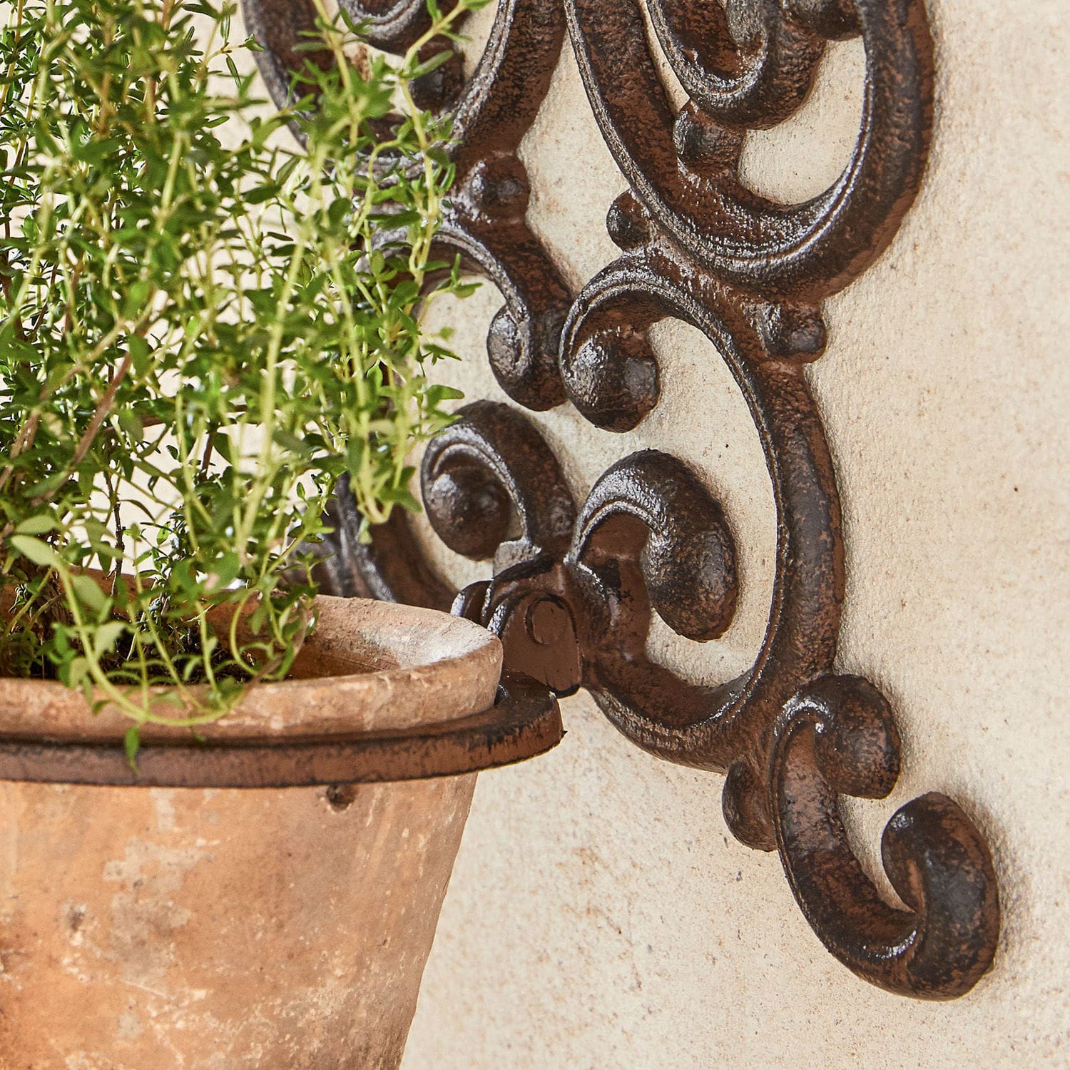 Porte-plantes Cecile