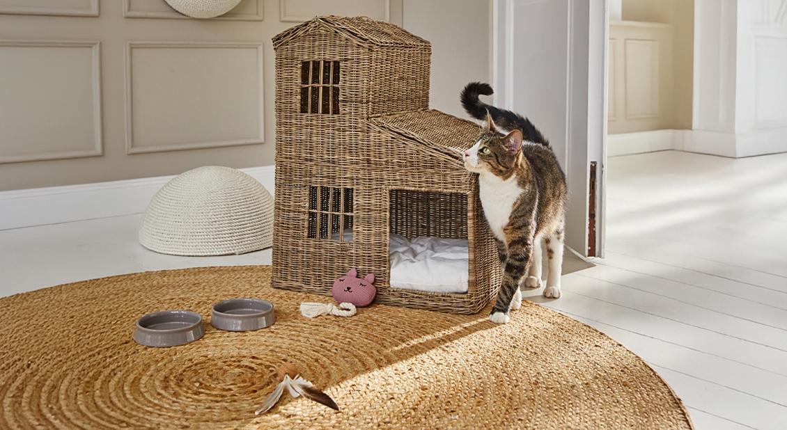 Mon royaume pour du rotin !