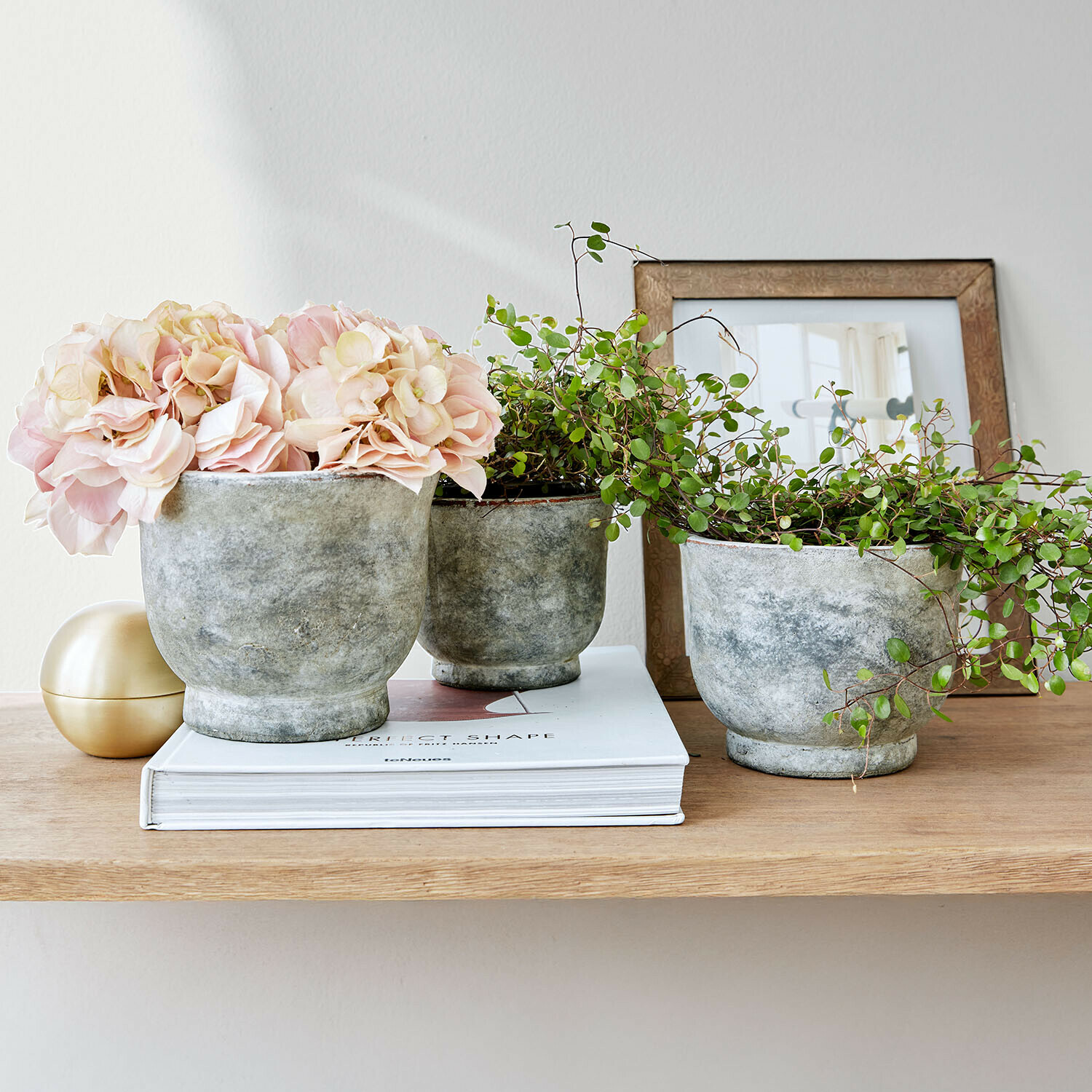 Lot de 3 cache-pots Ravetta Ensemble de trois pots en céramique grise avec fleurs roses et plantes vertes sur une étagère en bois