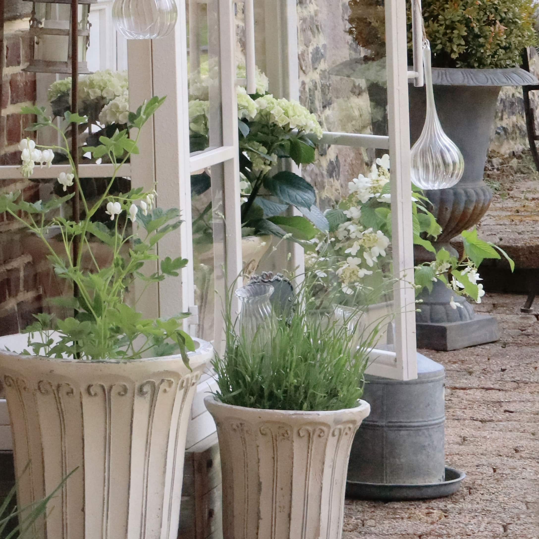 Pots décoratifs en pierre claire avec plantes vertes devant une fenêtre blanche extérieure