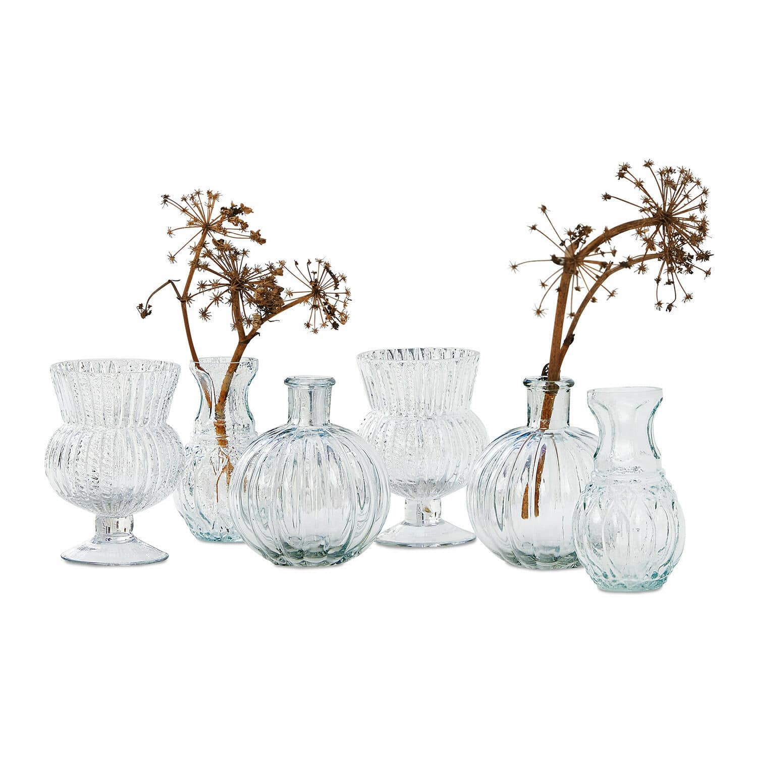 Lot de 6 vases Amber Ensemble de six vases en verre transparent avec fleurs séchées, décoration élégante pour table
