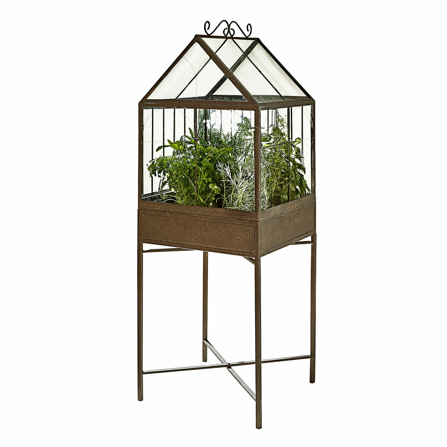 Serre sur pied en métal rouillé avec plantes vertes pour culture d'herbes aromatiques à l'intérieur