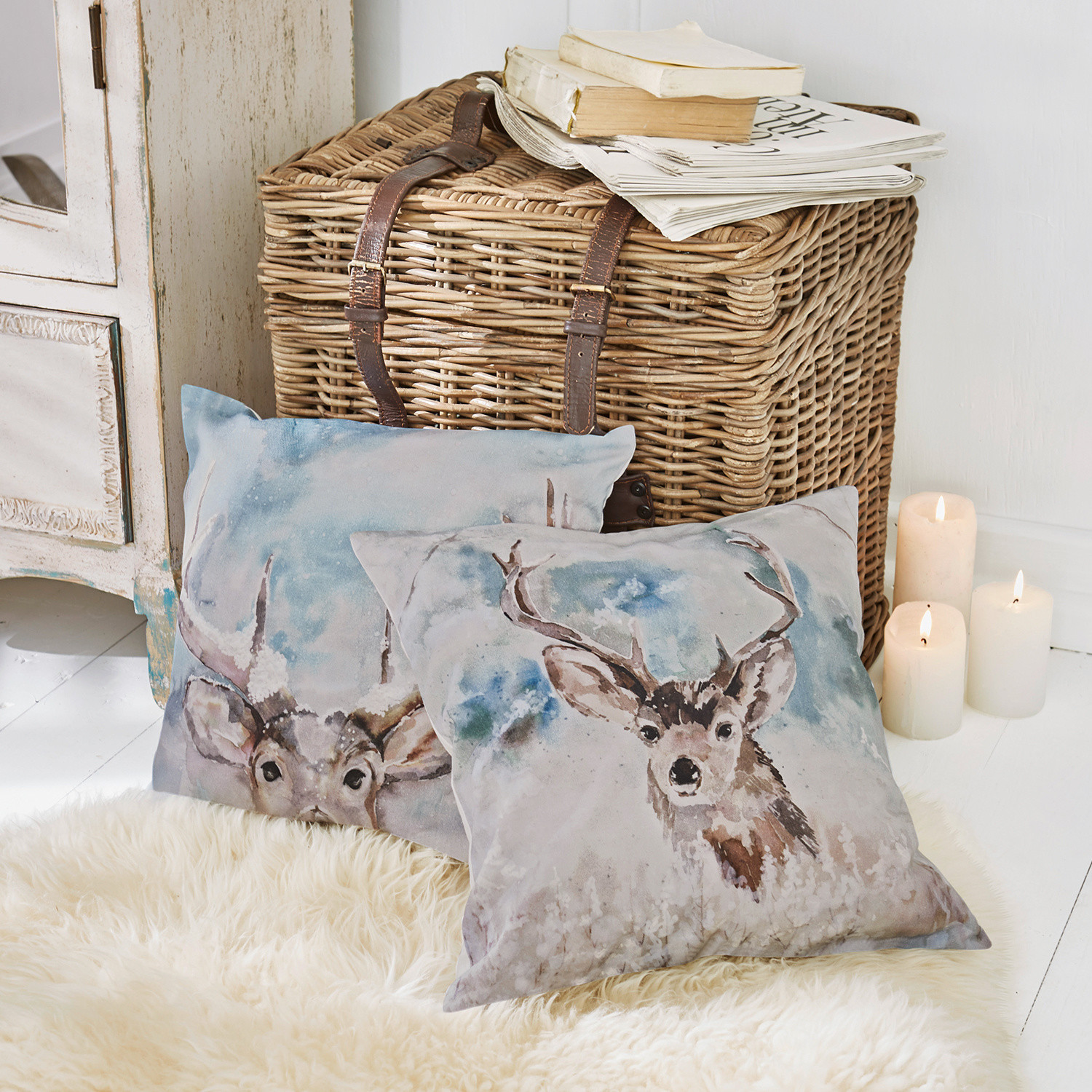 Lot de 2 housses de coussin Dreary