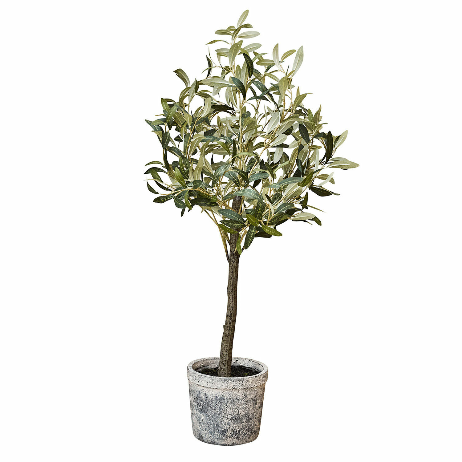 Plante en pot décorative Mariuccia verte avec pot texturé, parfaite pour la décoration intérieure.