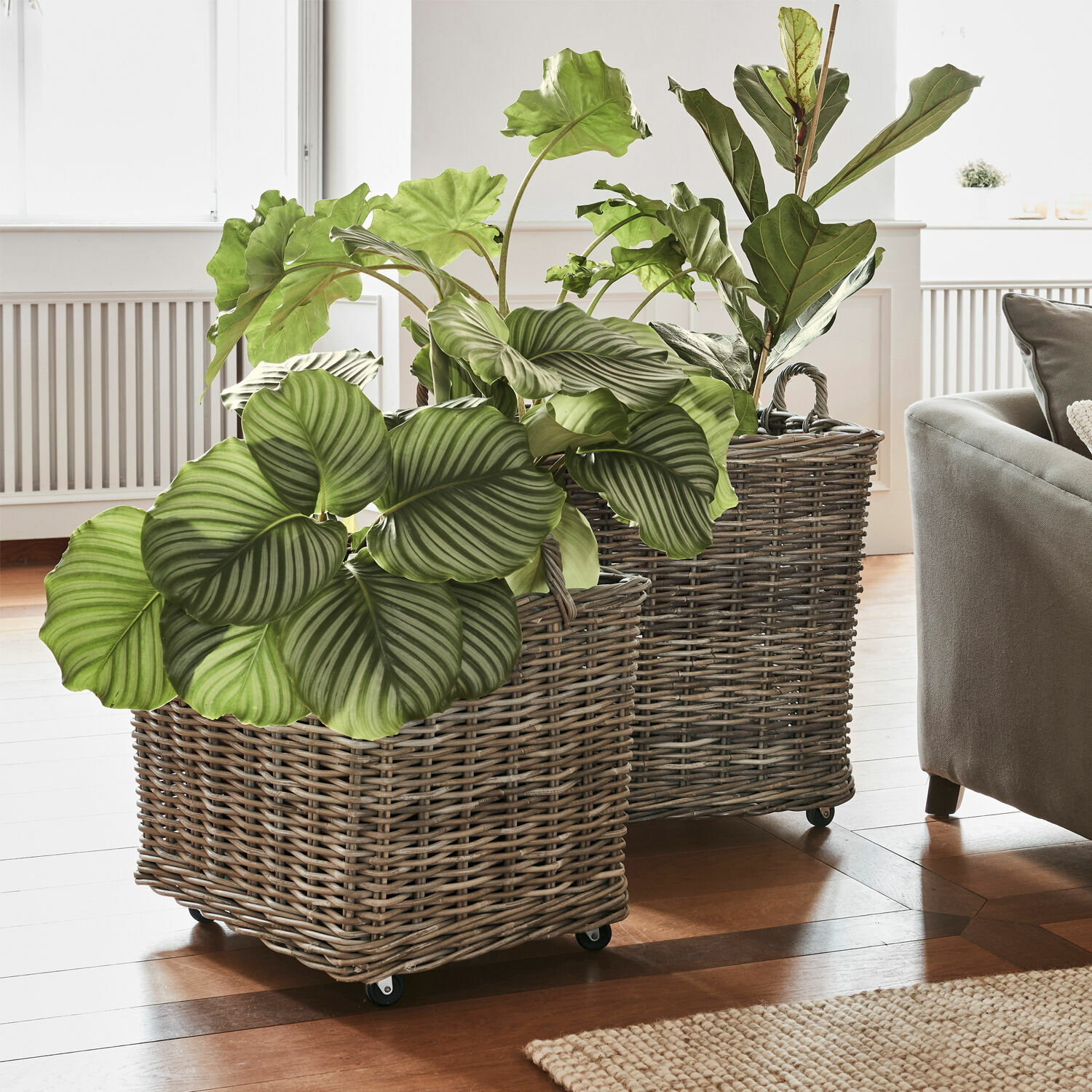 Lot de 2 paniers à plantes Gialousa Deux jardinières en osier sur roulettes avec plantes vertes dans un salon lumineux au sol en bois