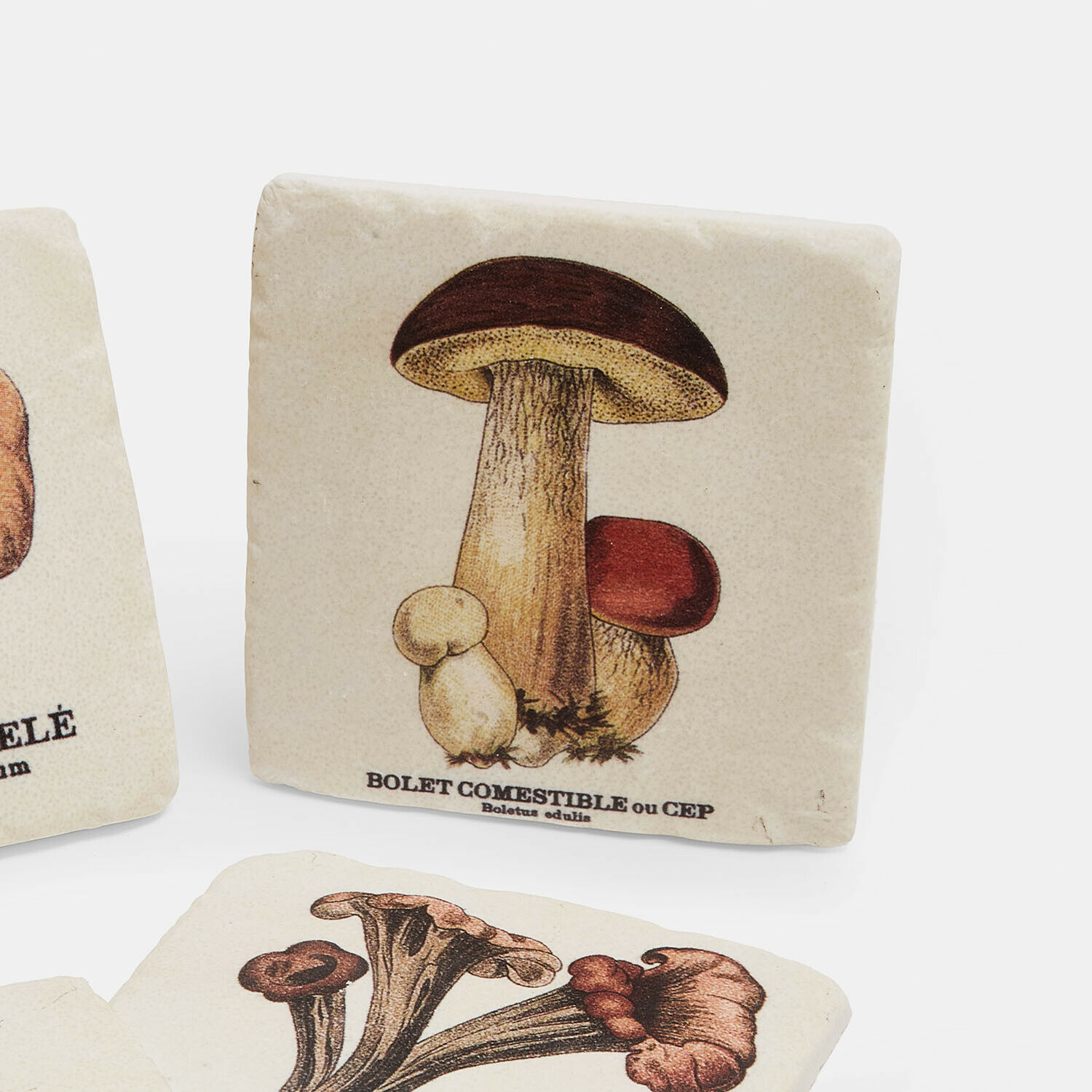 Lot de 4 sous-verres Jandoria