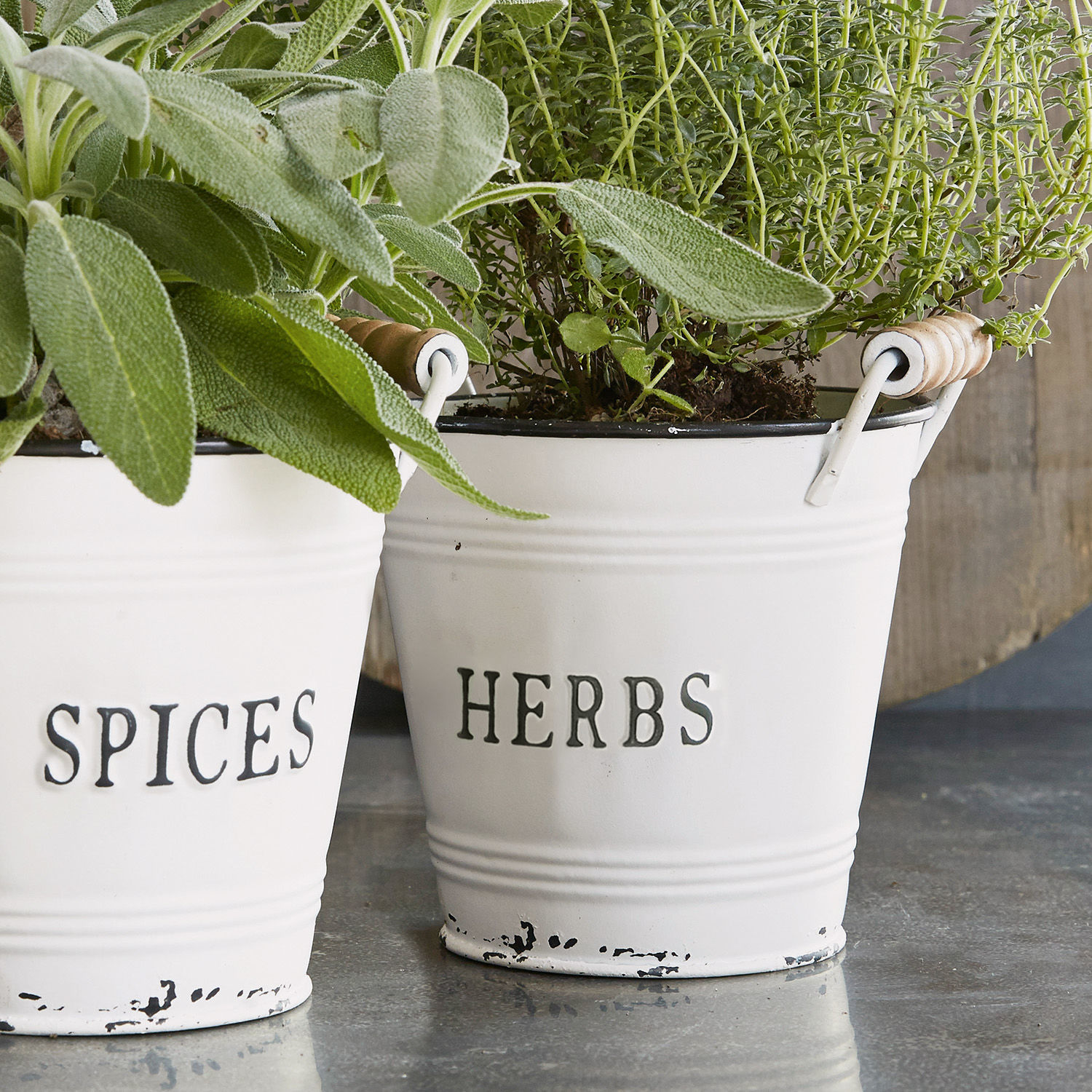 Lot de 2 cache-pots Trevis