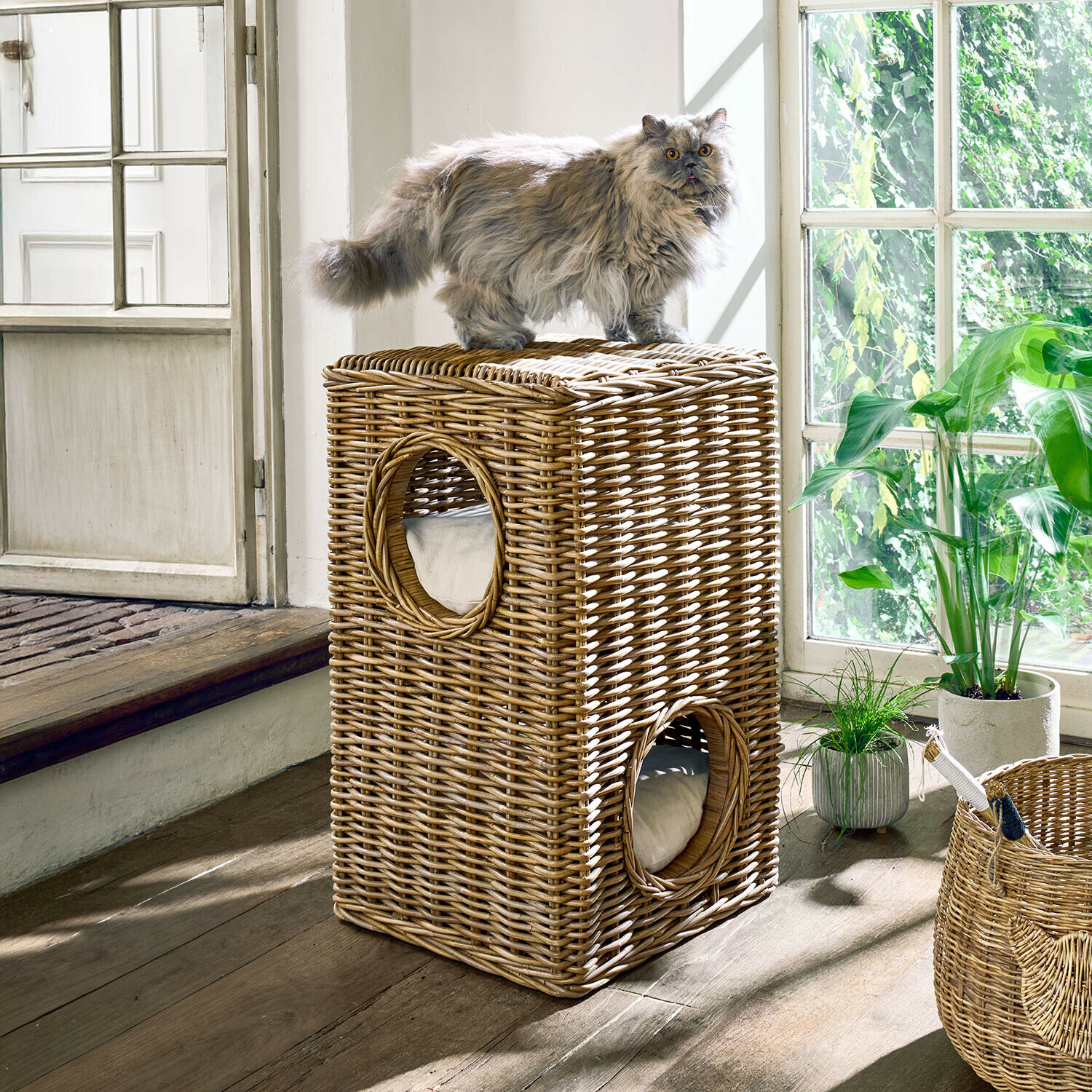 Maison pour chat en rotin naturel à deux niveaux avec coussins, chat gris à poils longs sur le dessus