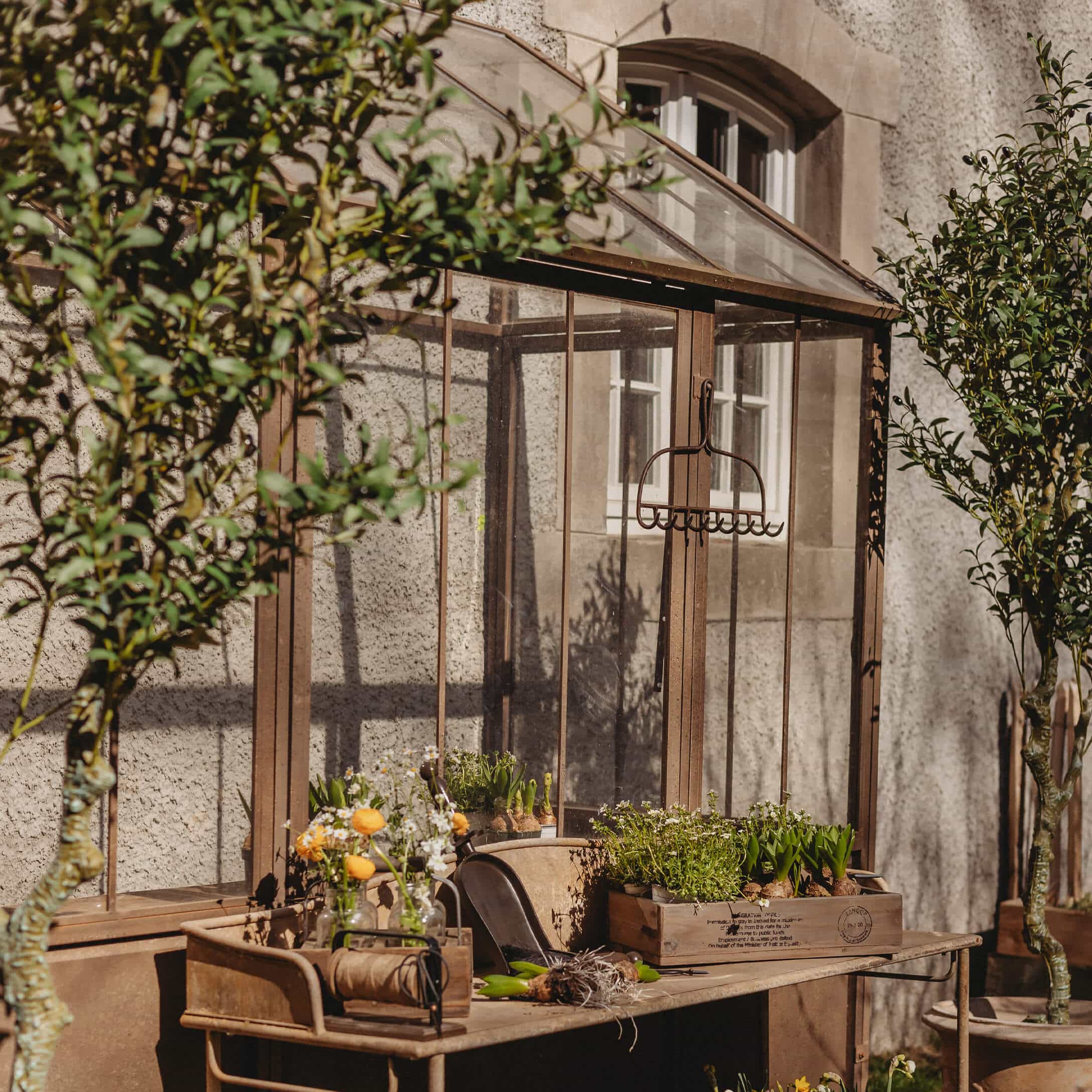 Table de jardin en métal vintage avec plantes en pot et outils devant une serre en verre