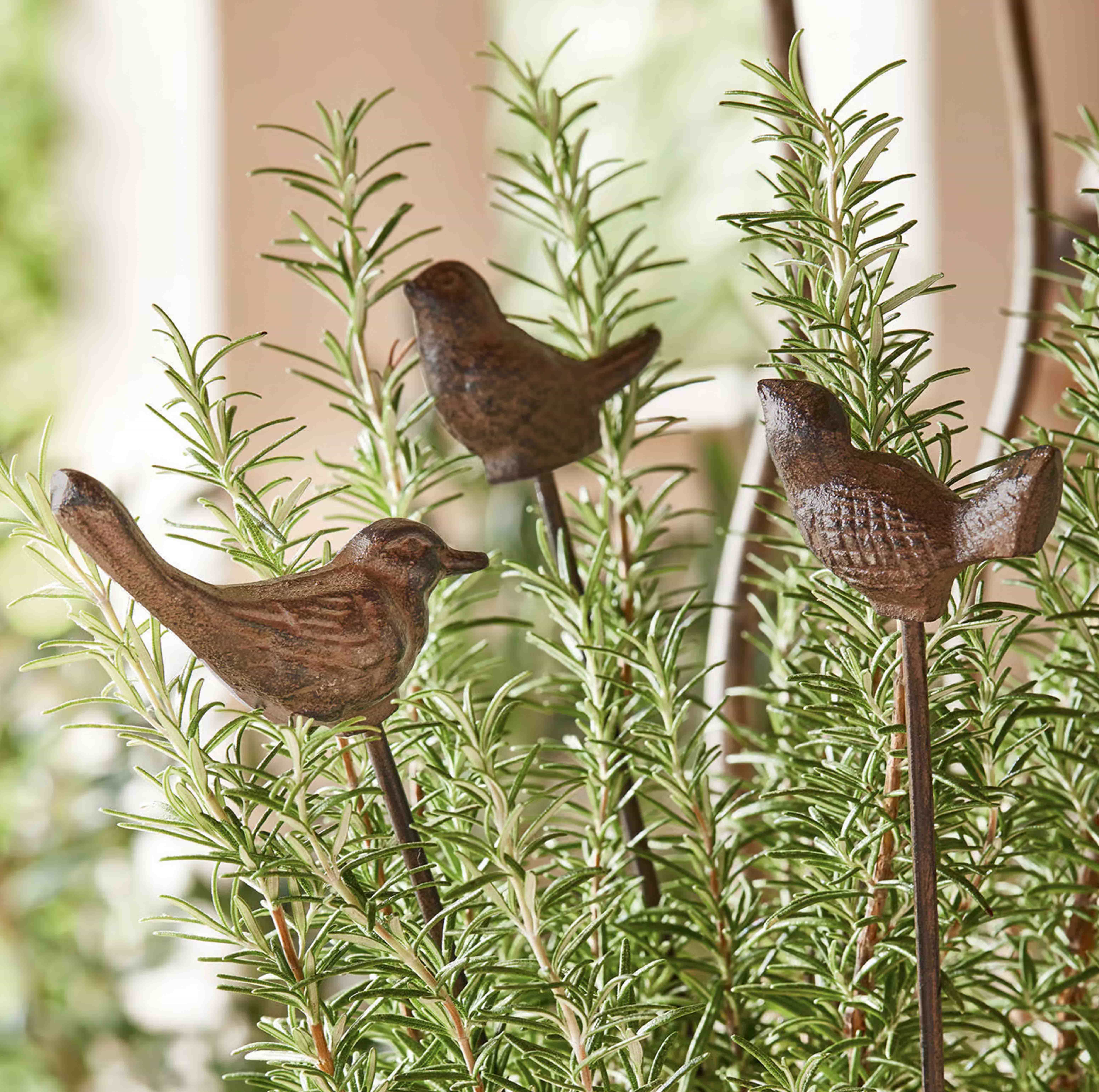Oiseaux décoratifs en métal sur tiges parmi des branches de romarin vert pour jardin et intérieur