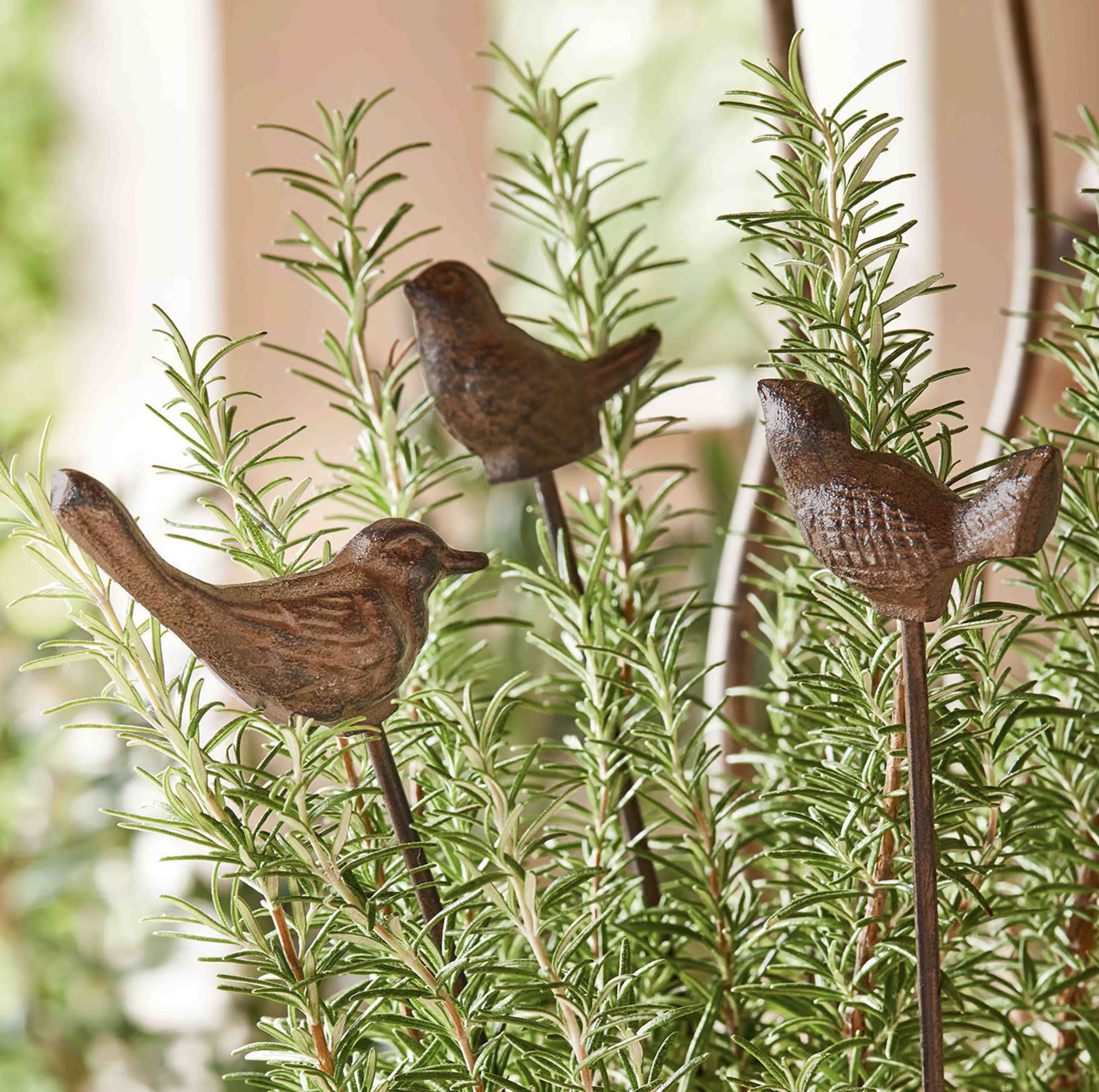 Oiseaux décoratifs en métal sur tiges parmi des branches de romarin vert pour jardin et intérieur