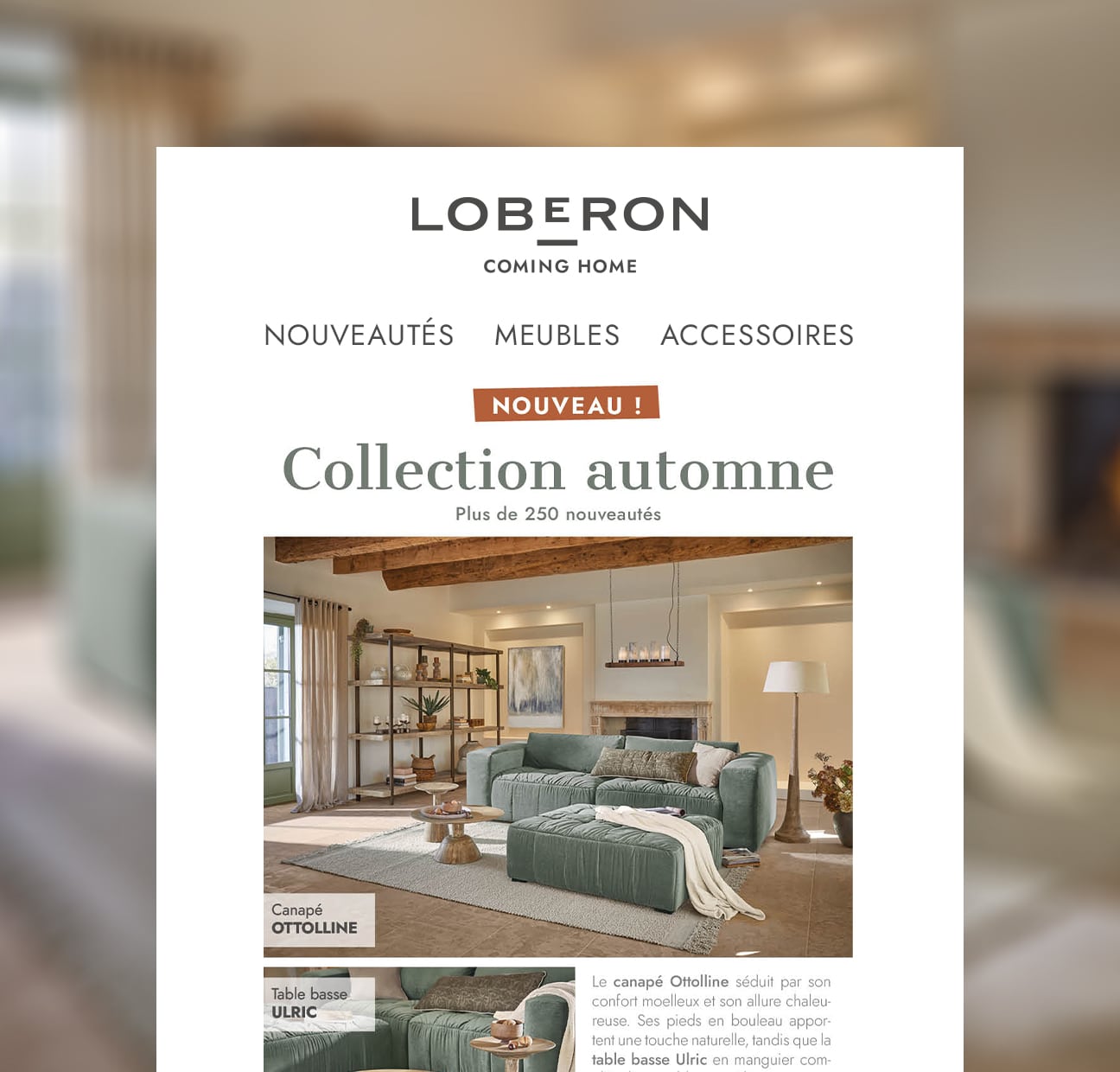 Collection automne avec canapé vert Ottolline et table basse Ulric dans un salon chaleureux aux poutres en bois