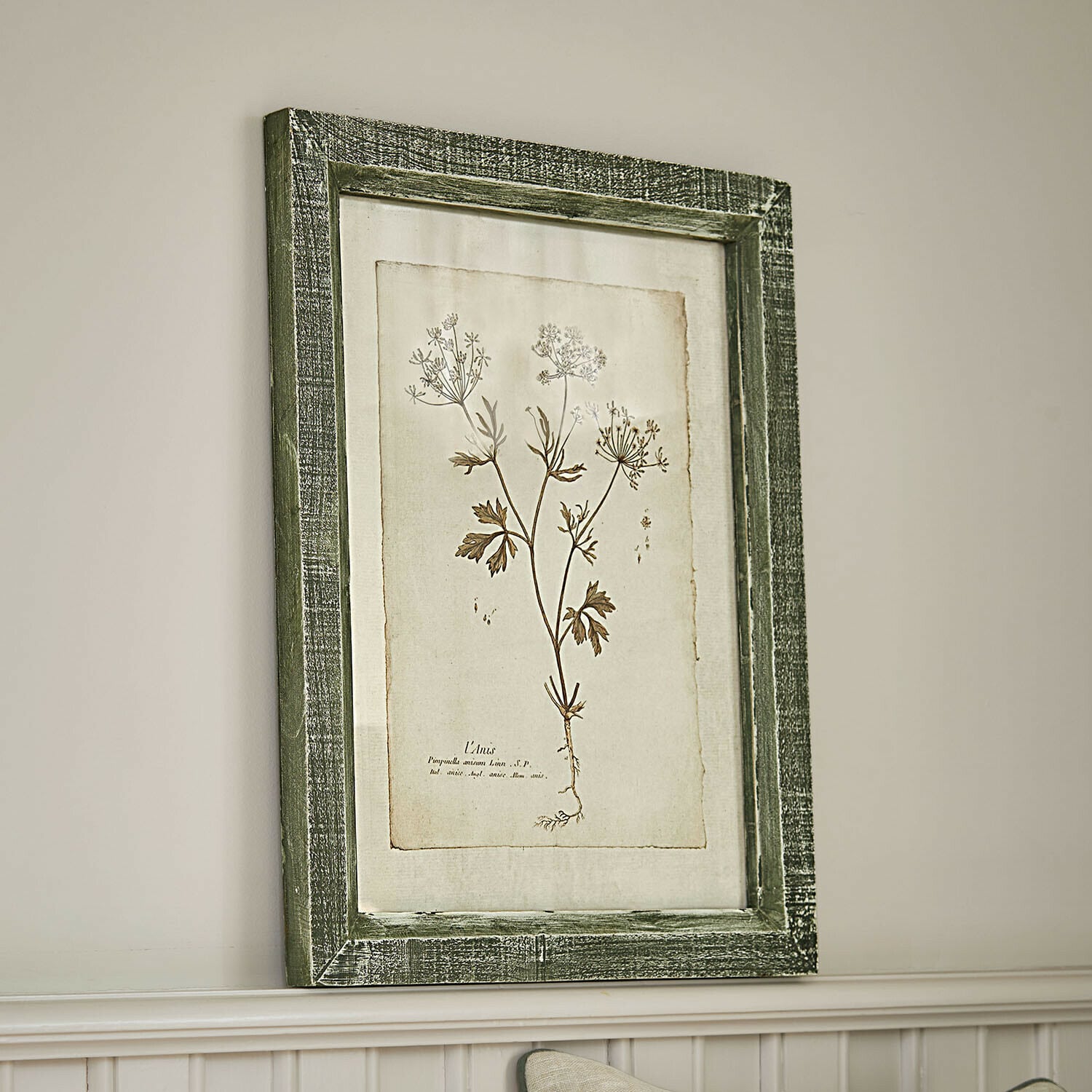 Tableau Kenwick Tableau botanique avec cadre en bois vert et dessin de plante sur fond beige pour décoration murale