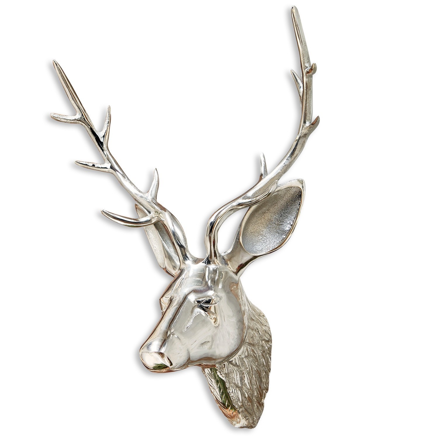 Tête de cerf Mailé