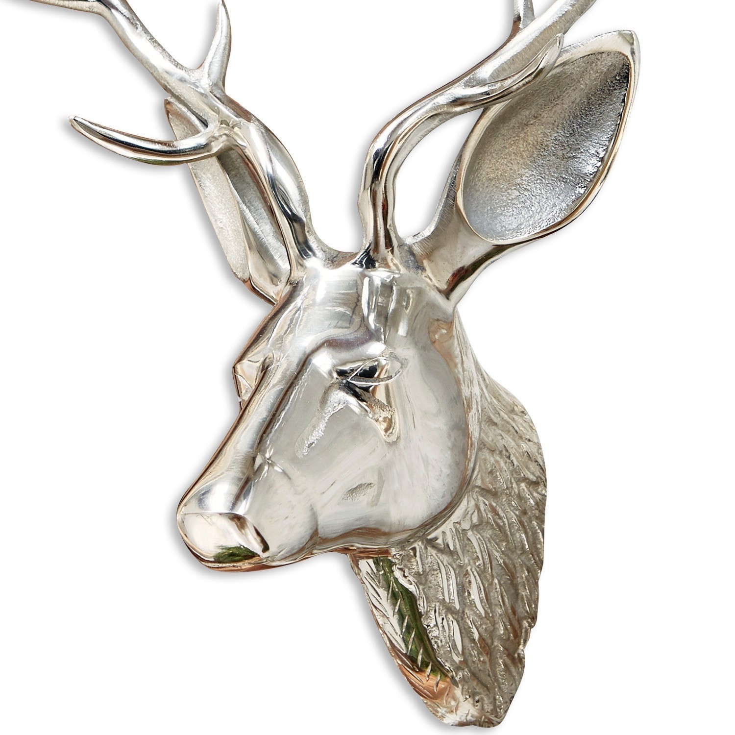 Tête de cerf Mailé
