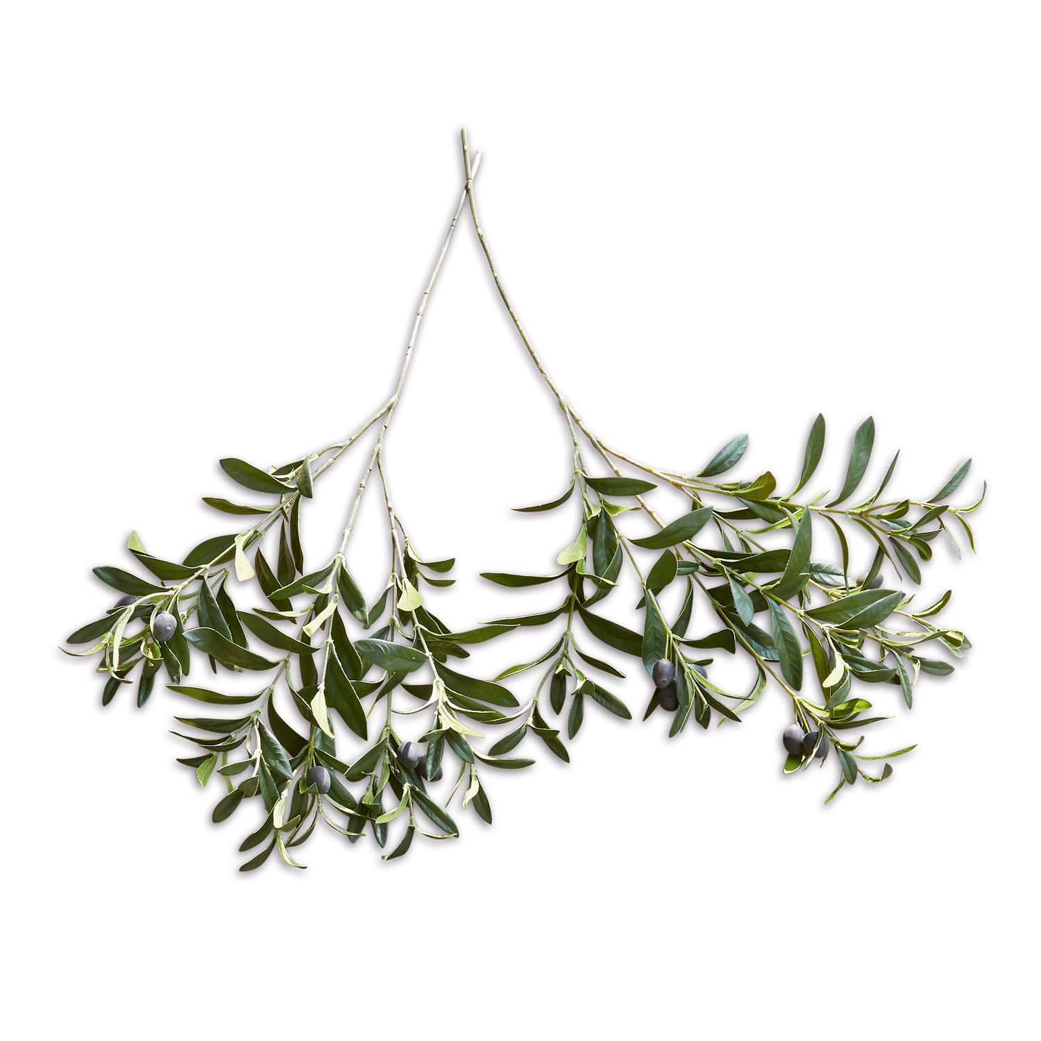 Lot de 2 branches d’olivier décoratives Olives Branches d'olivier avec feuilles vertes et olives noires sur fond blanc, décoration naturelle