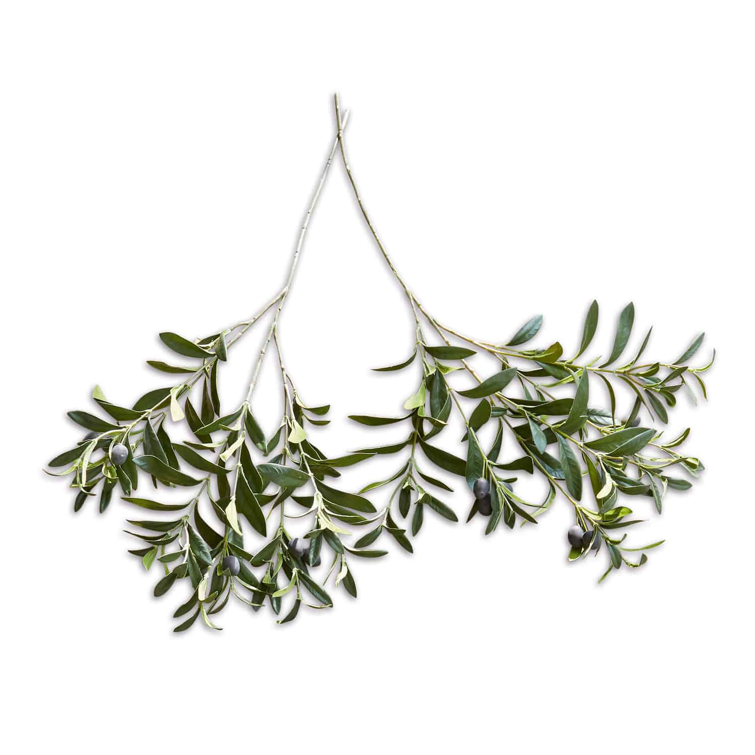 Lot de 2 branches d’olivier décoratives Olives Branches d'olivier avec feuilles vertes et olives noires sur fond blanc, décoration naturelle